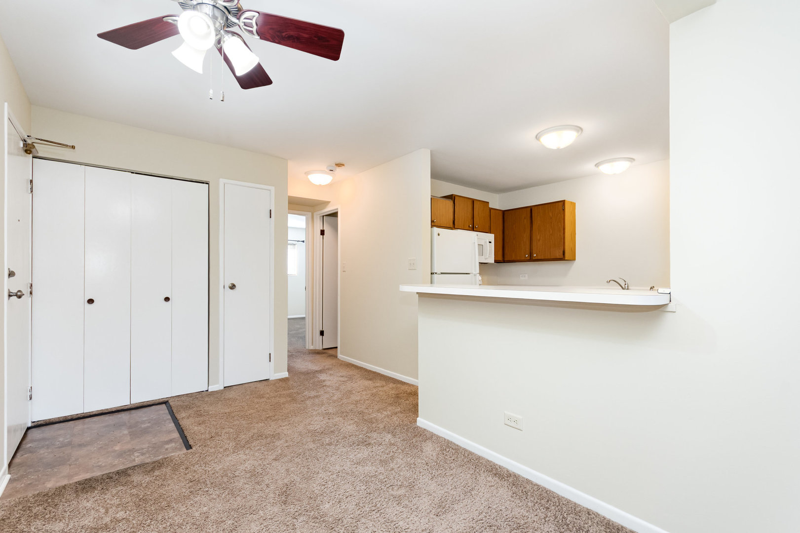 1002 Spruce Street #1B, Glendale Heights, IL 60139