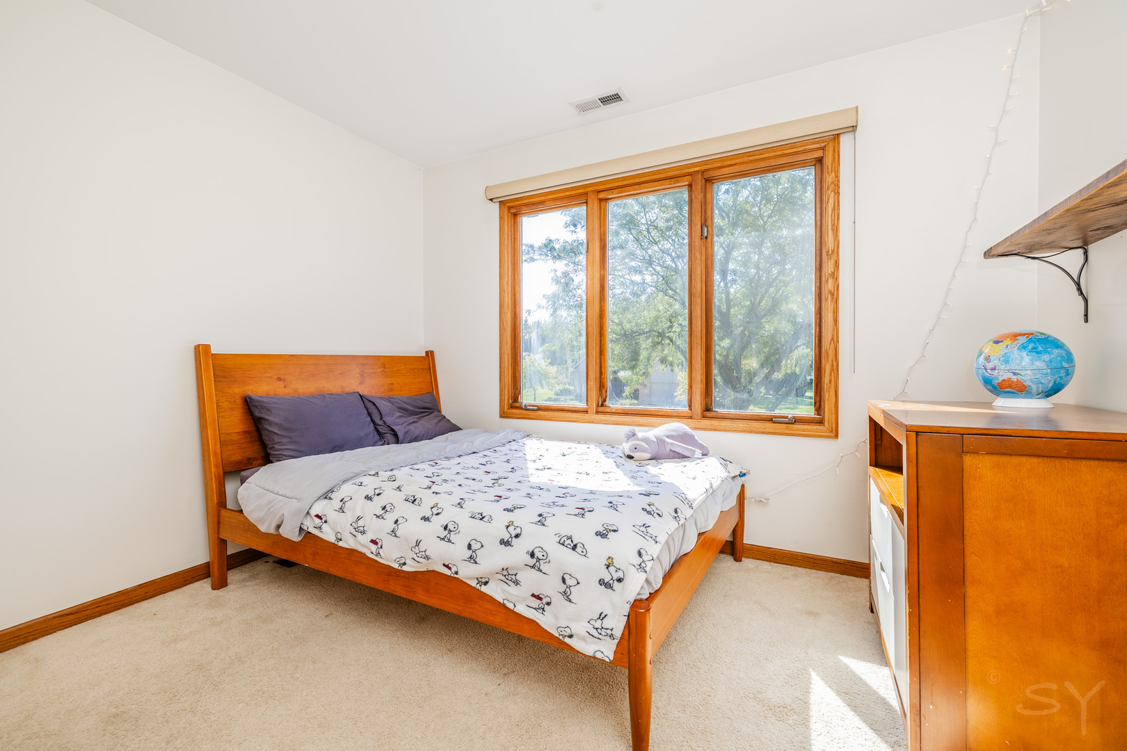 481 Pleasant Hill Road, Frankfort, IL 60423