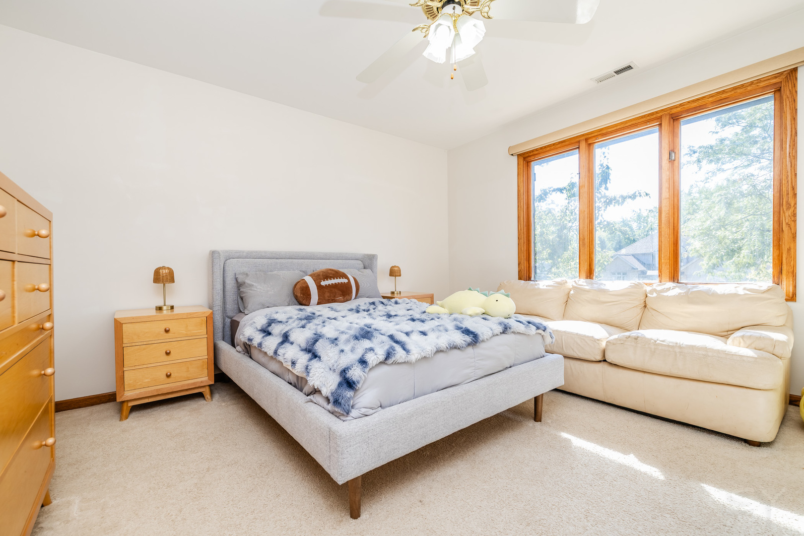 481 Pleasant Hill Road, Frankfort, IL 60423