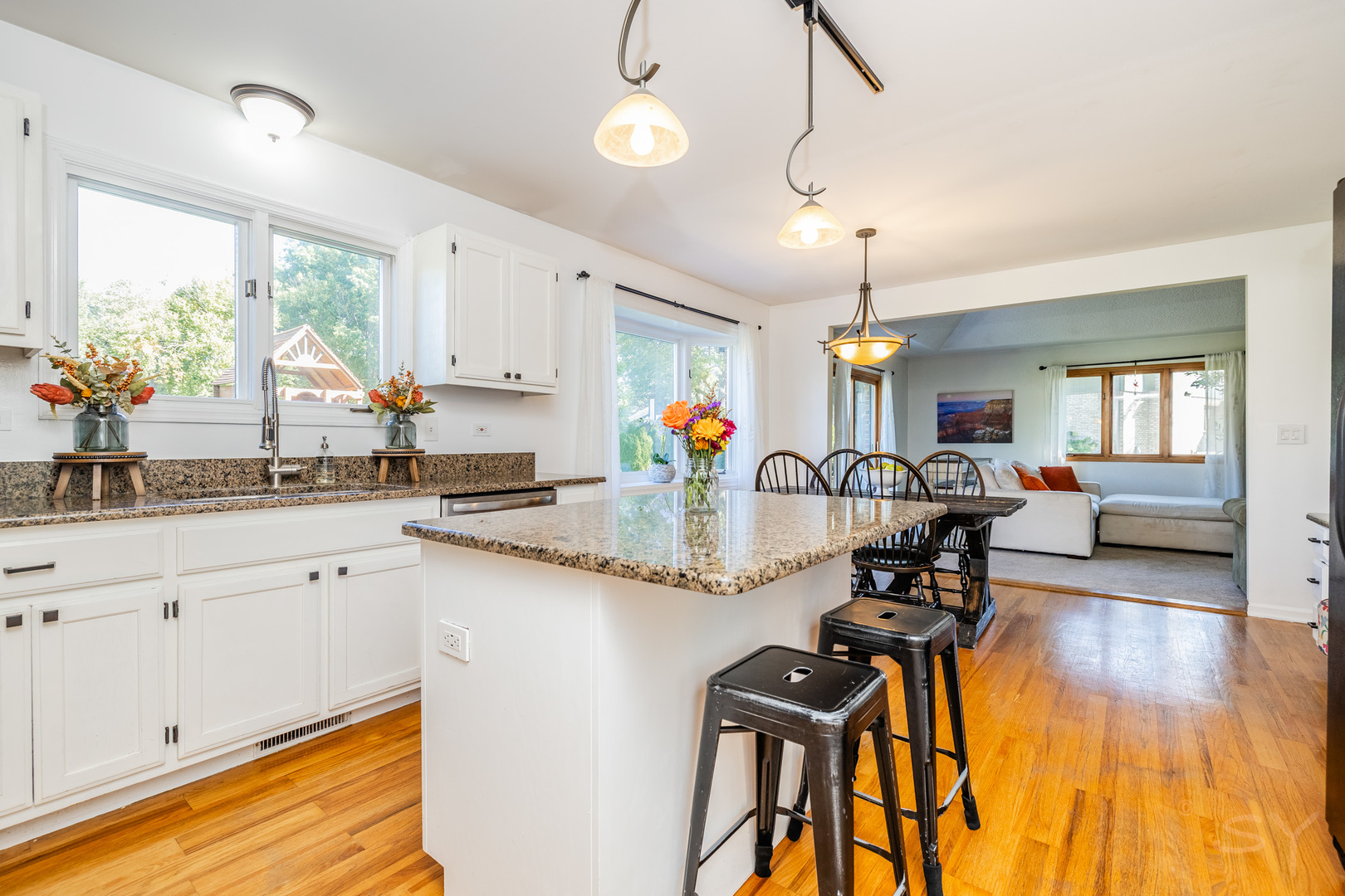 481 Pleasant Hill Road, Frankfort, IL 60423