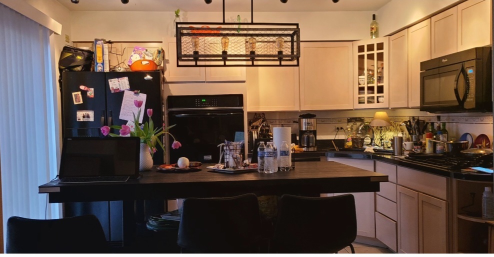 3132 STONEGATE Court, Flossmoor, IL 60422