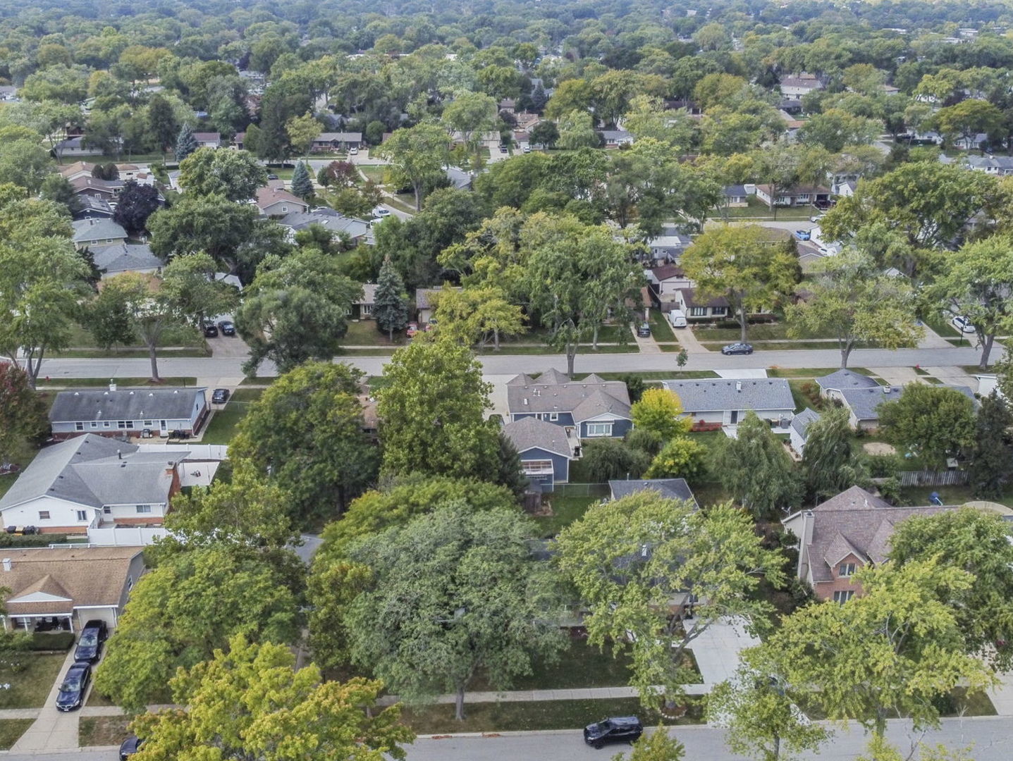 1194 Cedar Lane, Elk Grove Village, IL 60007