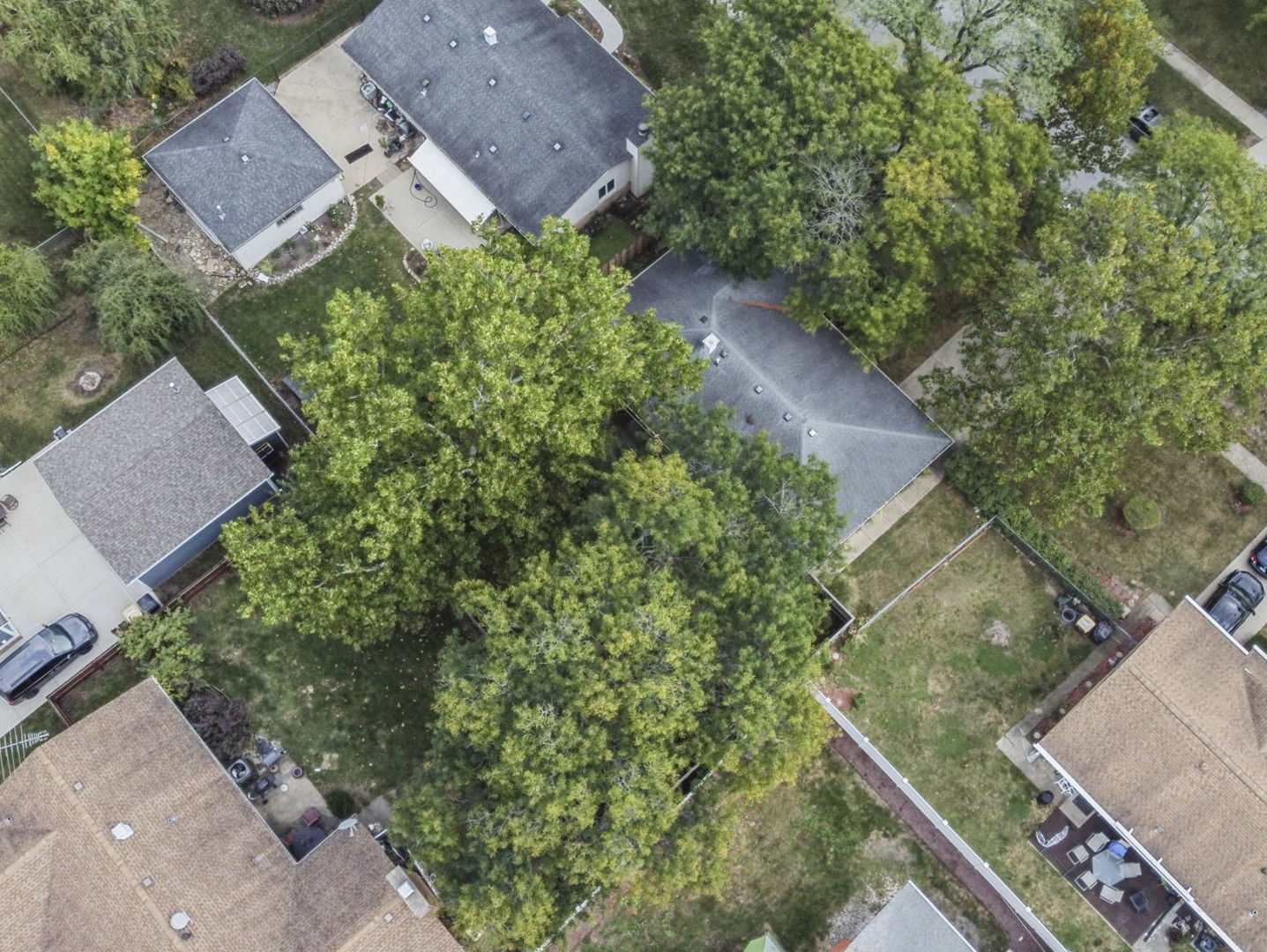 1194 Cedar Lane, Elk Grove Village, IL 60007