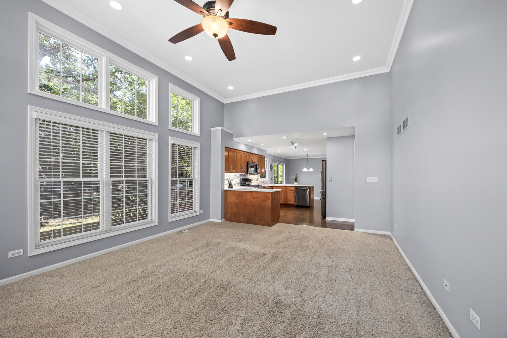 719 Pinecreek Drive, North Aurora, IL 60542