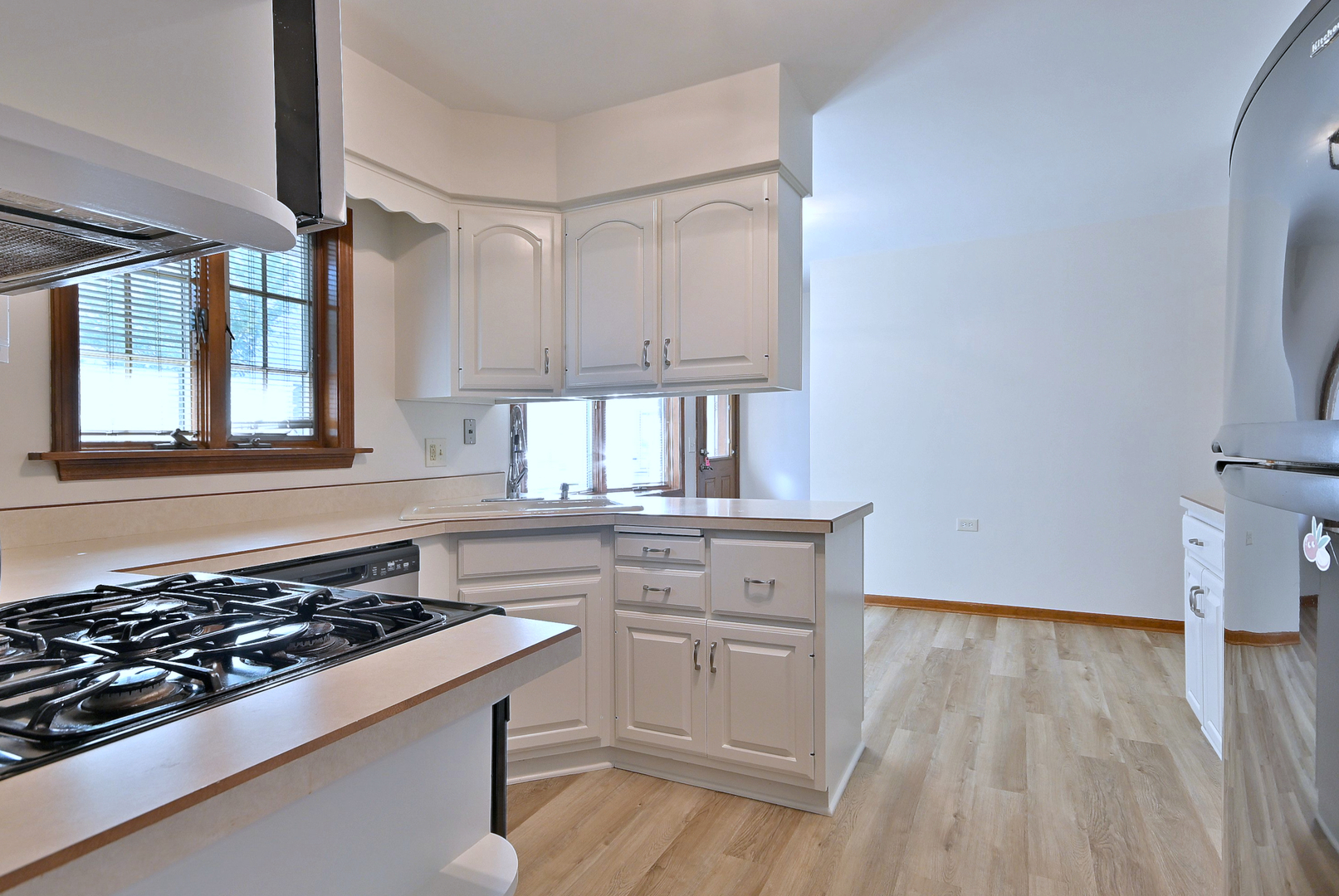 236 W Adams Street, Elmhurst, IL 60126