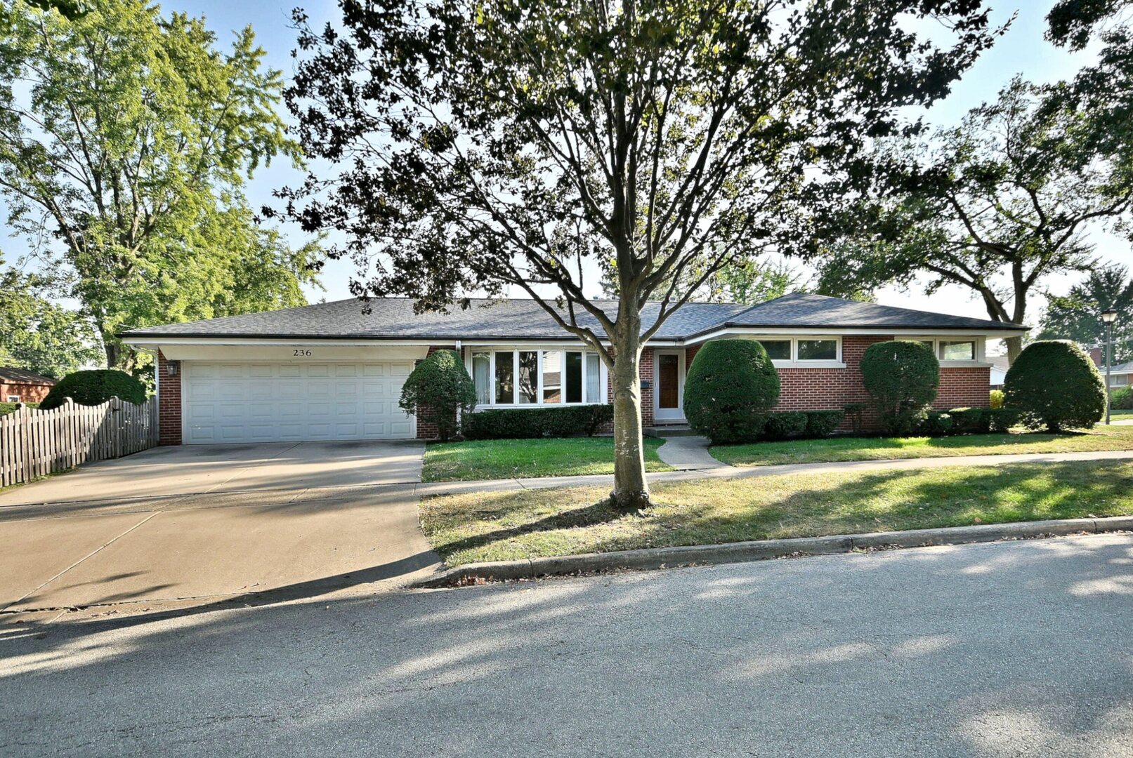 236 W Adams Street, Elmhurst, IL 60126