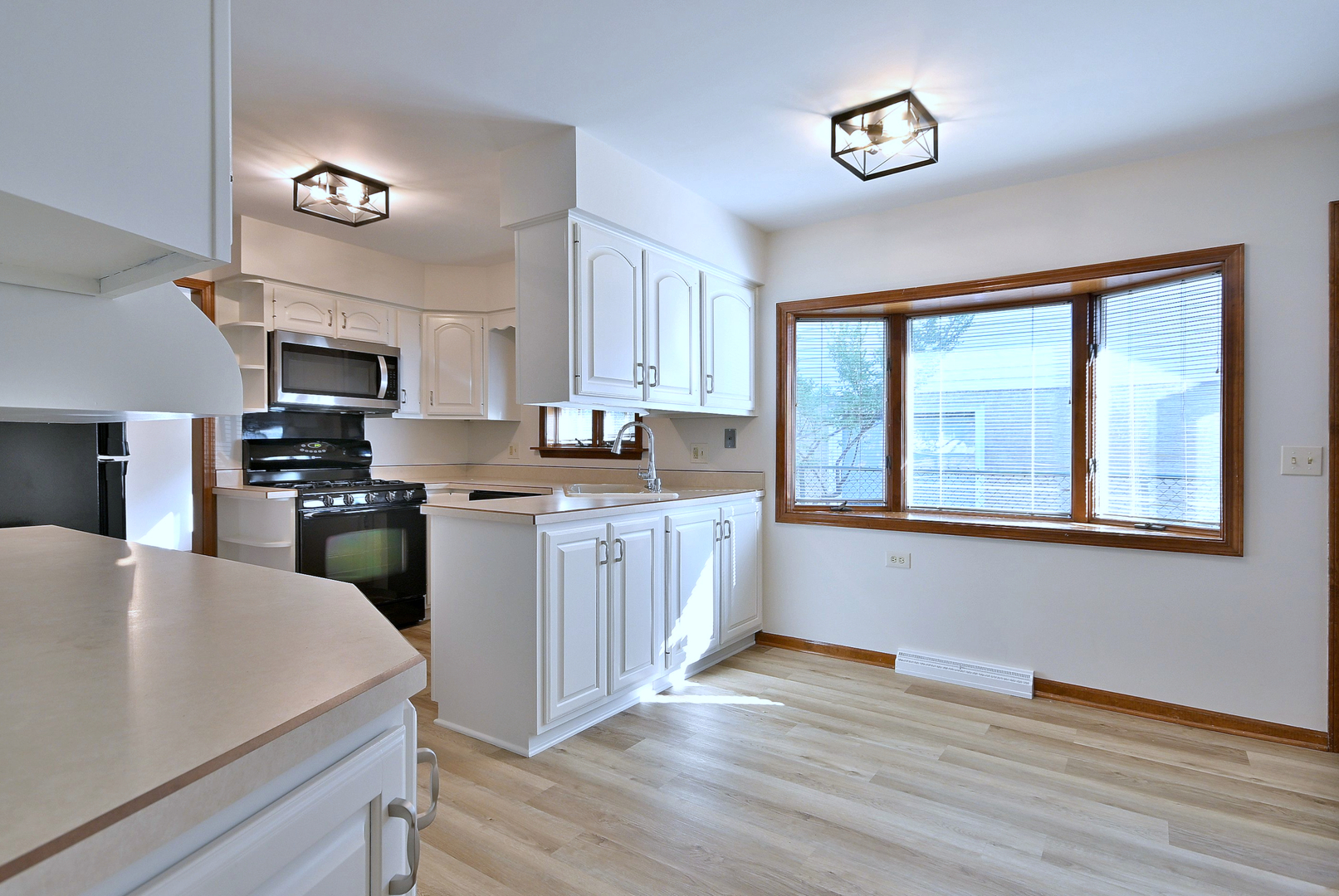 236 W Adams Street, Elmhurst, IL 60126