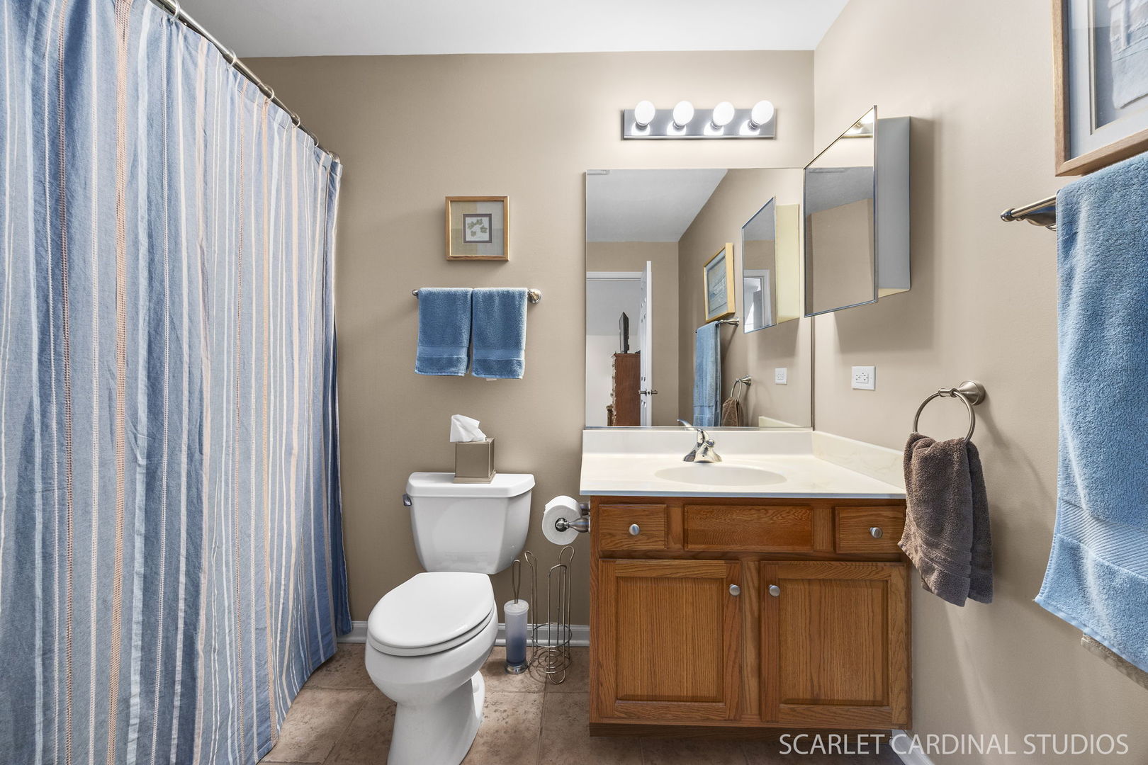 869 Cambridge Drive, Batavia, IL 60510