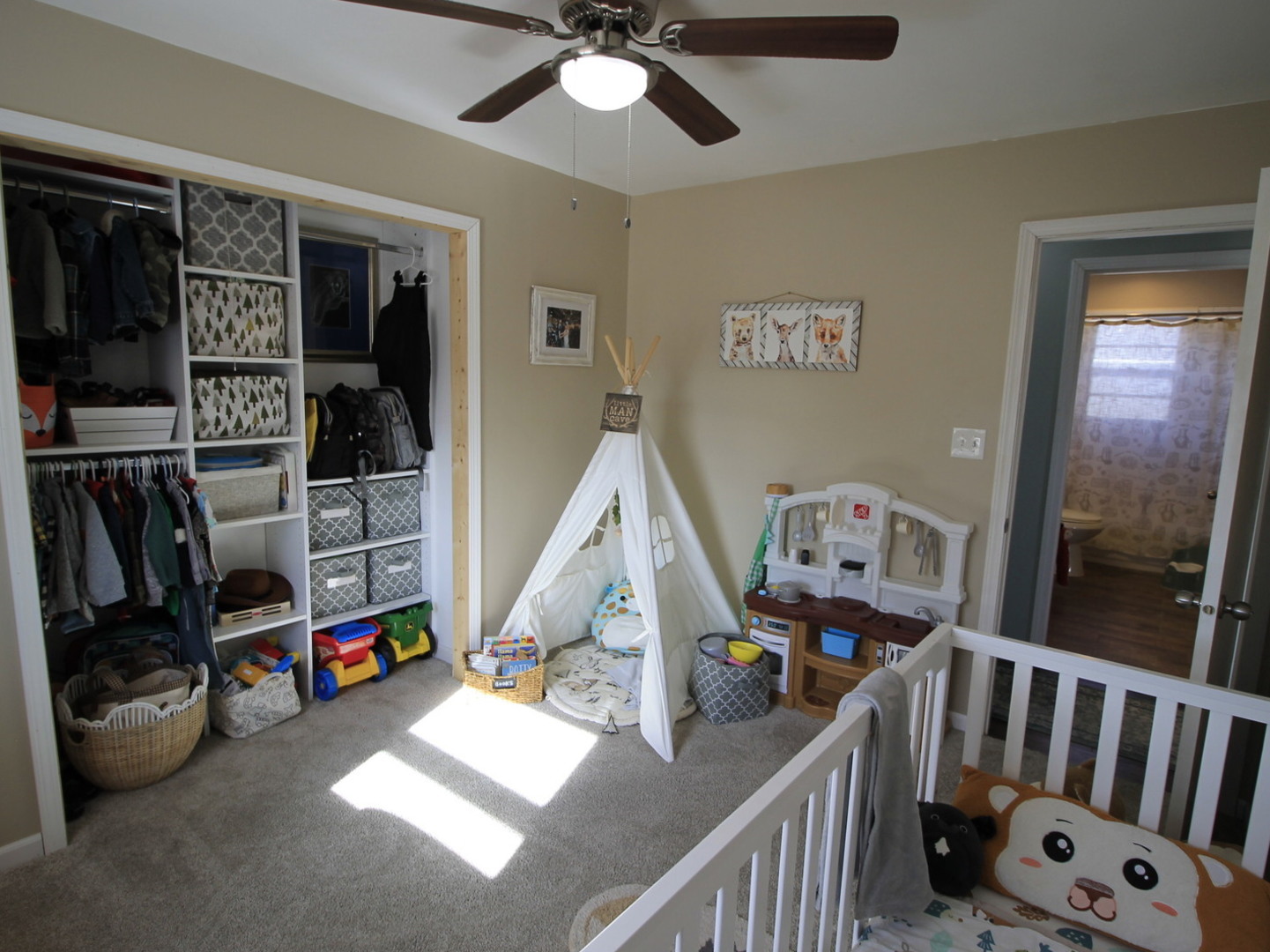 23521 W Winston Avenue, Plainfield, IL 60586