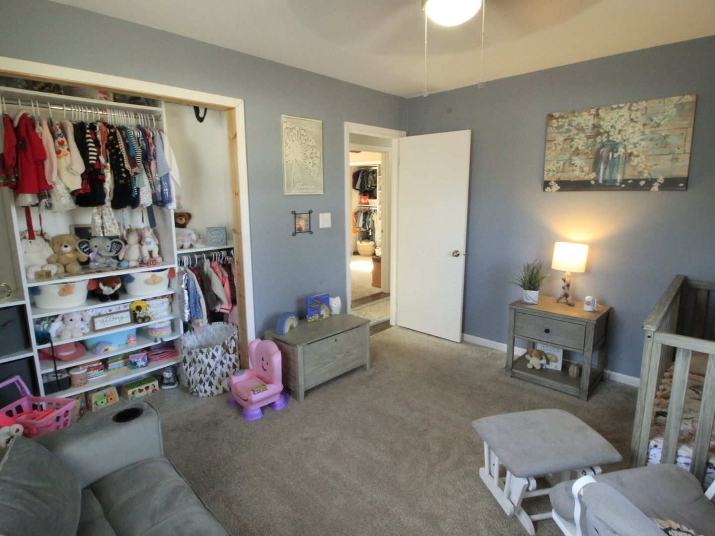 23521 W Winston Avenue, Plainfield, IL 60586