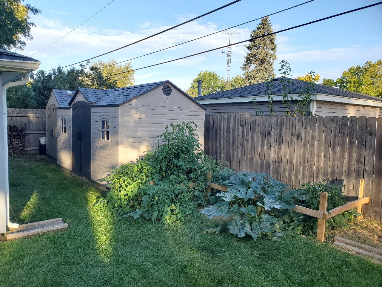 23521 W Winston Avenue, Plainfield, IL 60586