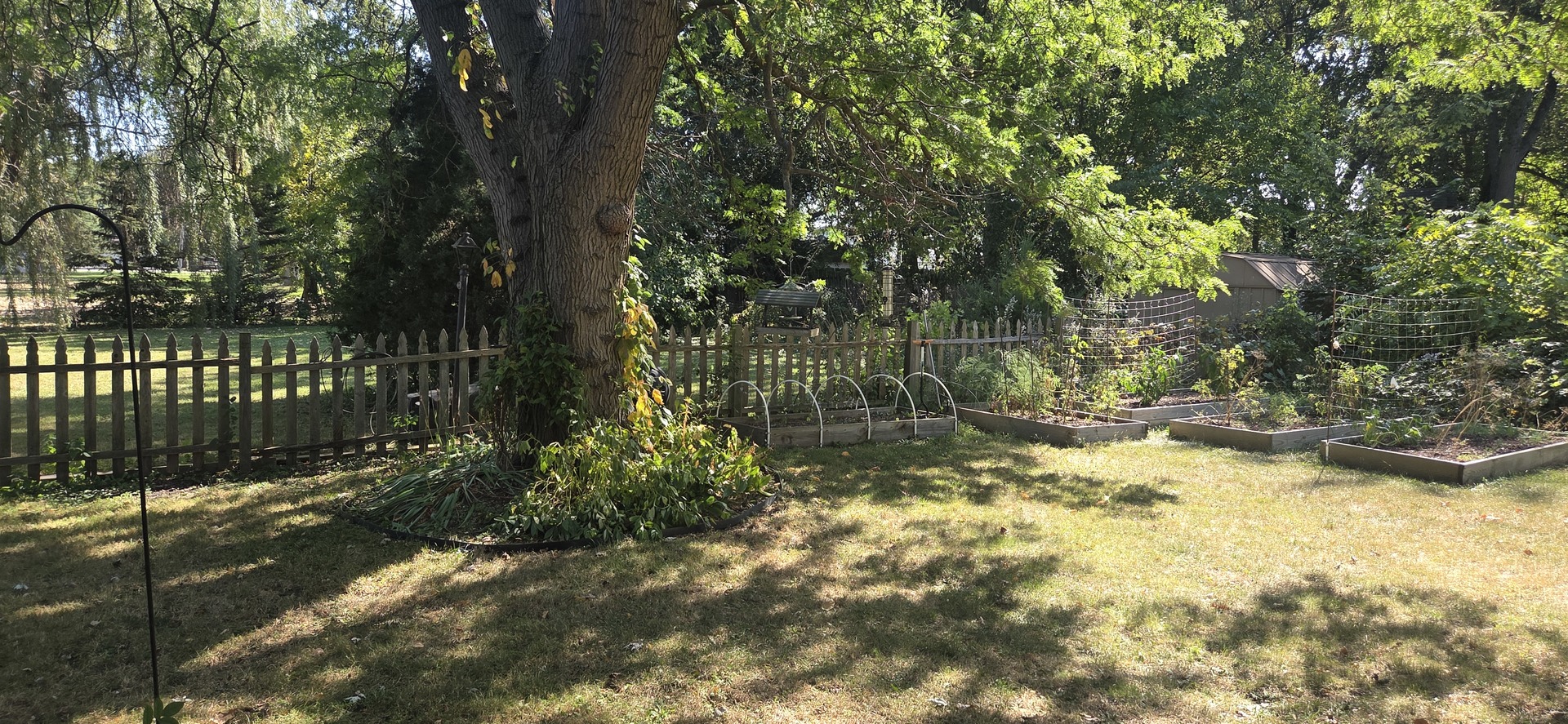 10151 Meadow Lane, Des Plaines, IL 60016