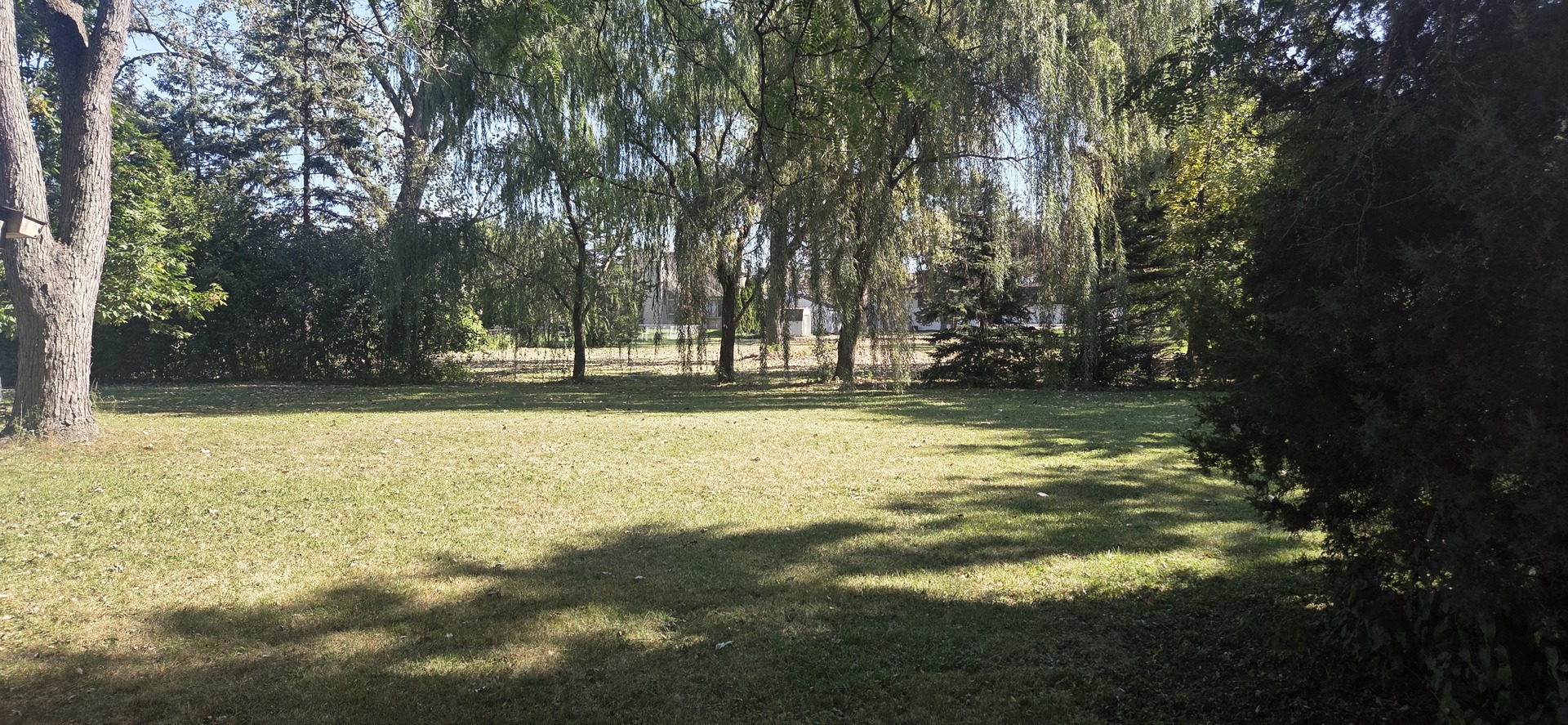 10151 Meadow Lane, Des Plaines, IL 60016