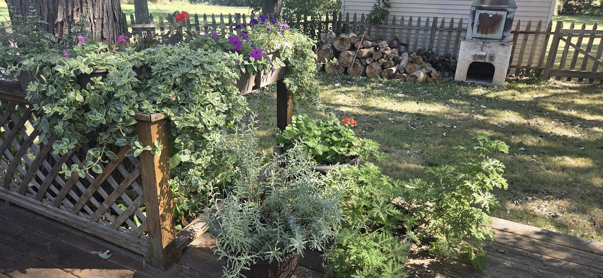 10151 Meadow Lane, Des Plaines, IL 60016