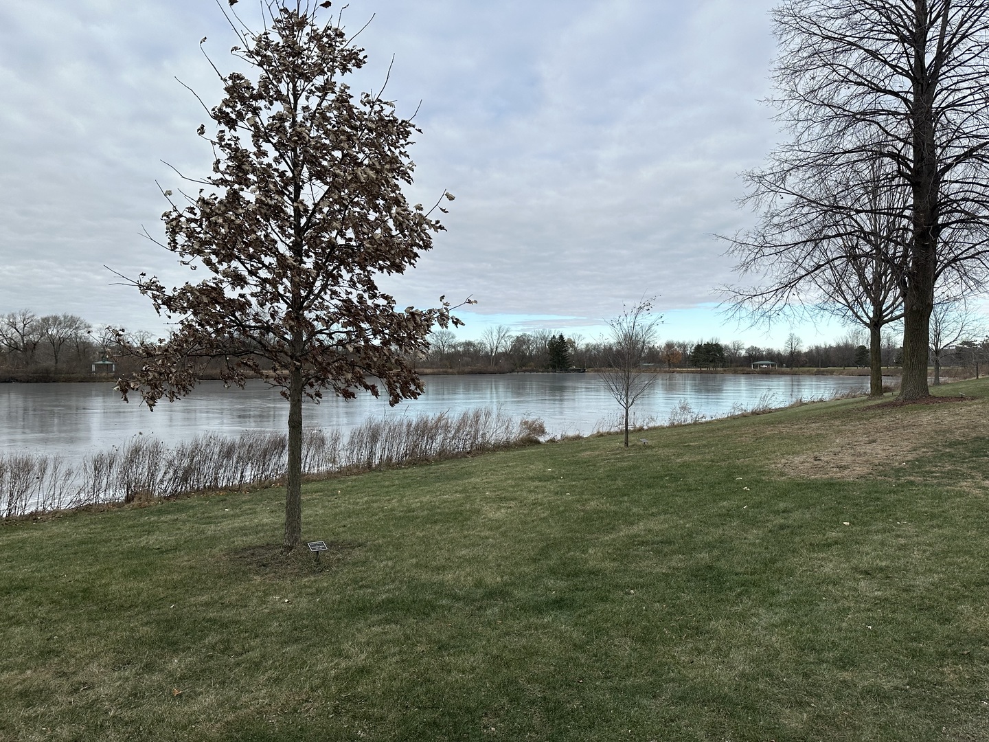 1250 N Streamwood Lane #338, Vernon Hills, IL 60061