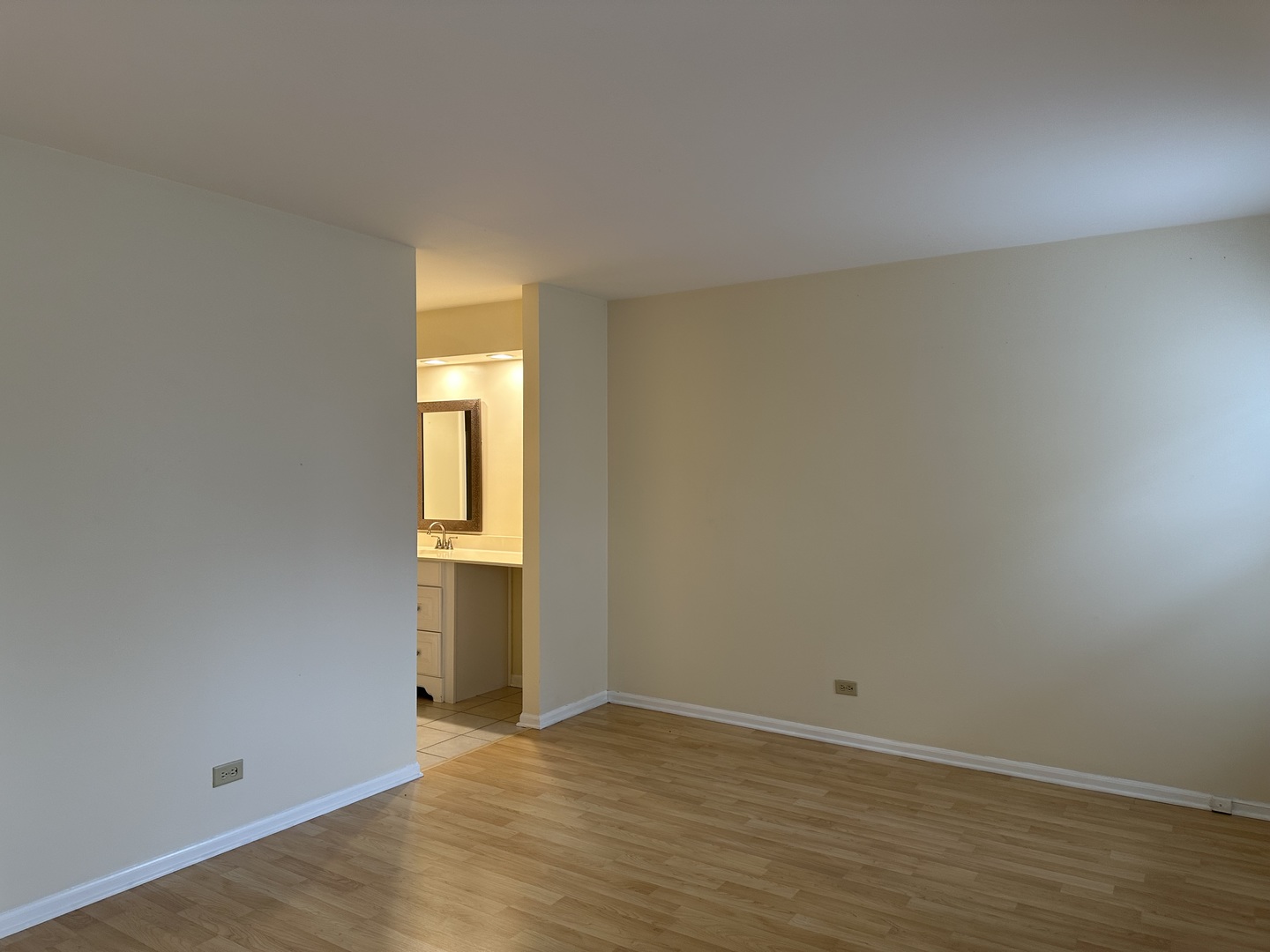 1250 N Streamwood Lane #338, Vernon Hills, IL 60061