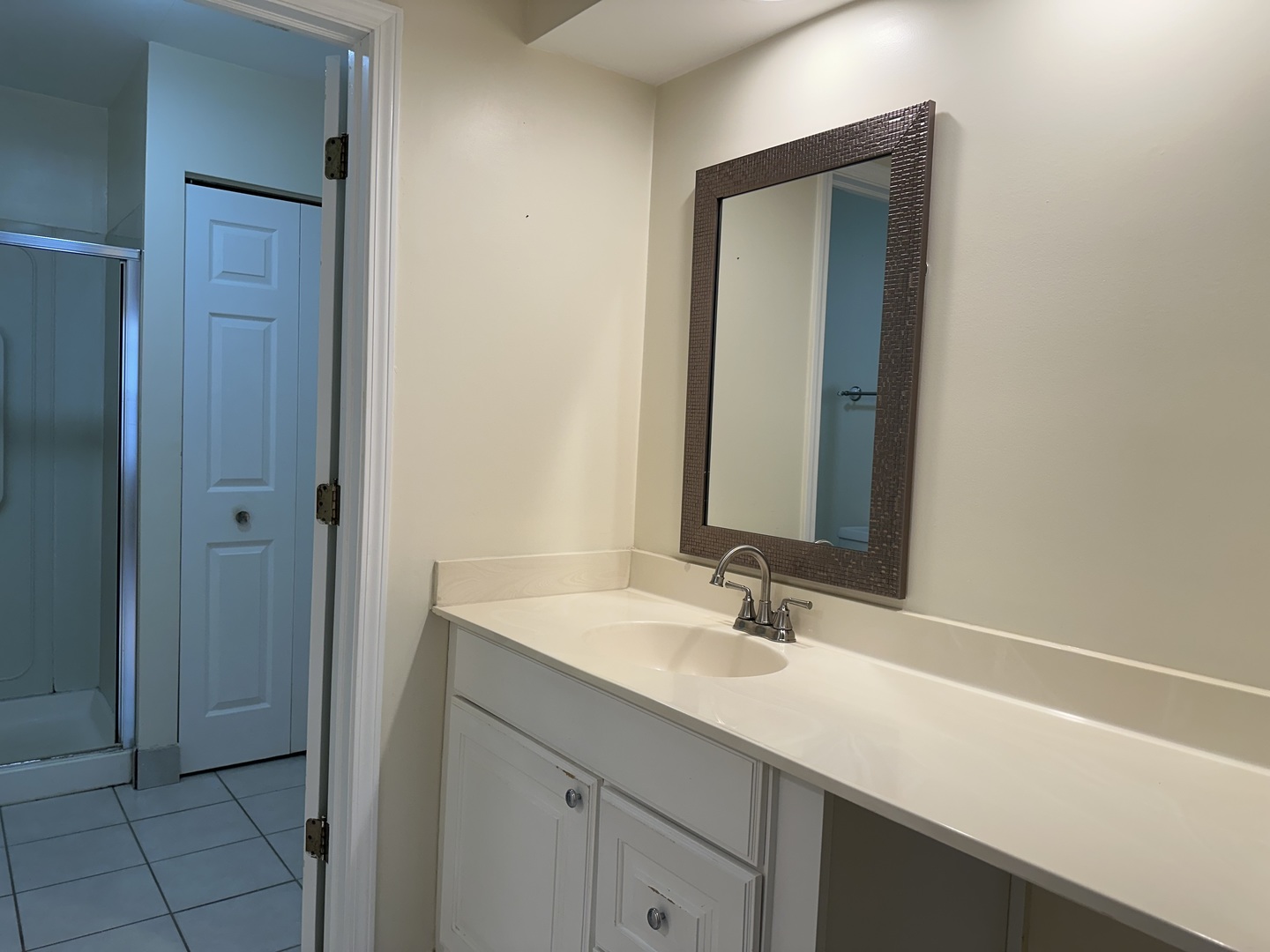 1250 N Streamwood Lane #338, Vernon Hills, IL 60061