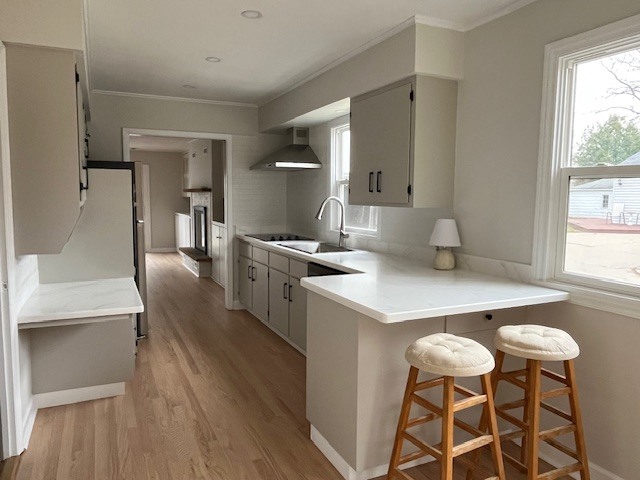 73 Harvey Avenue, Grayslake, IL 60030