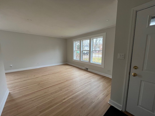 73 Harvey Avenue, Grayslake, IL 60030