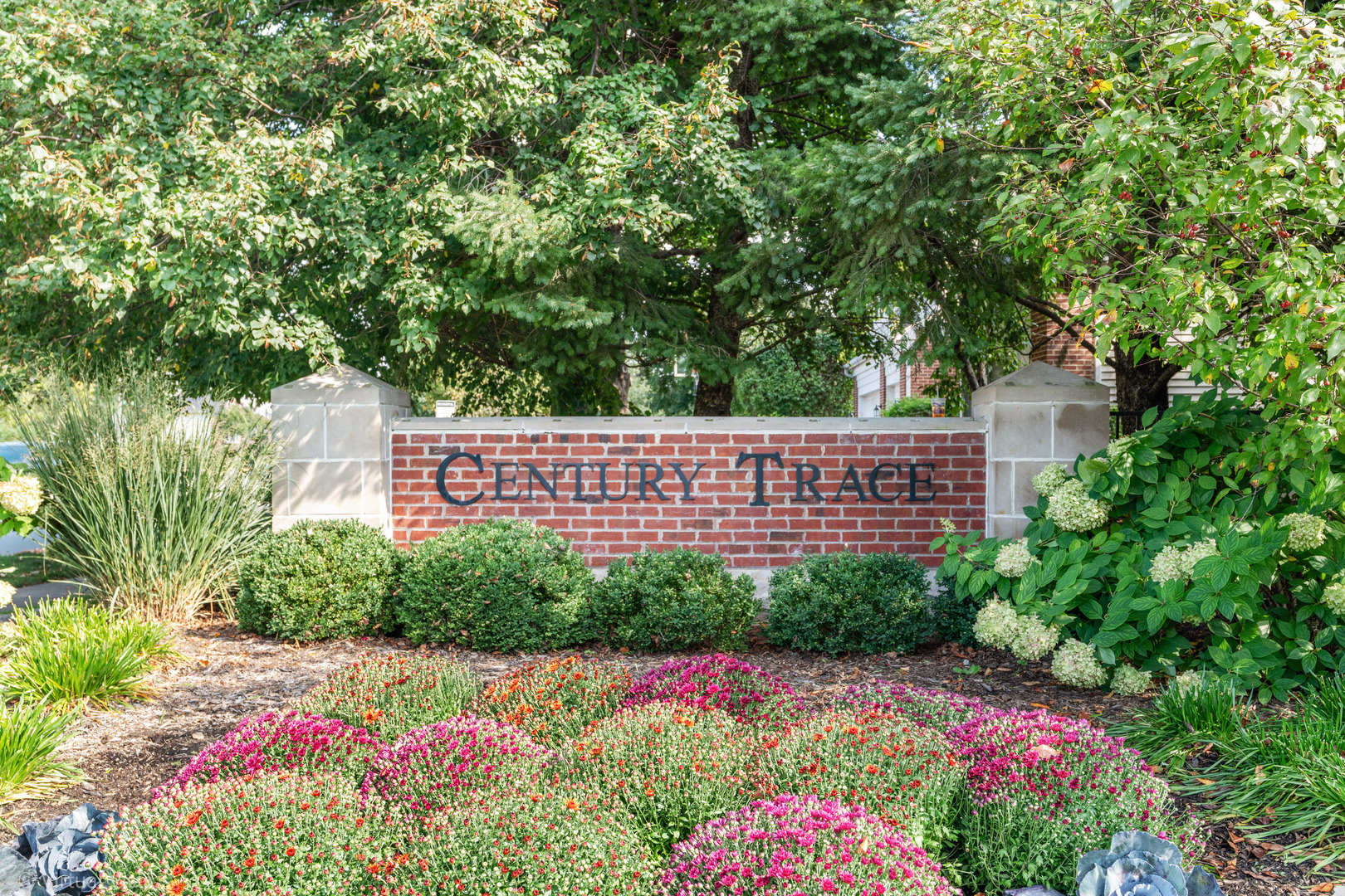 24731 Woodstock Drive, Plainfield, IL 60585