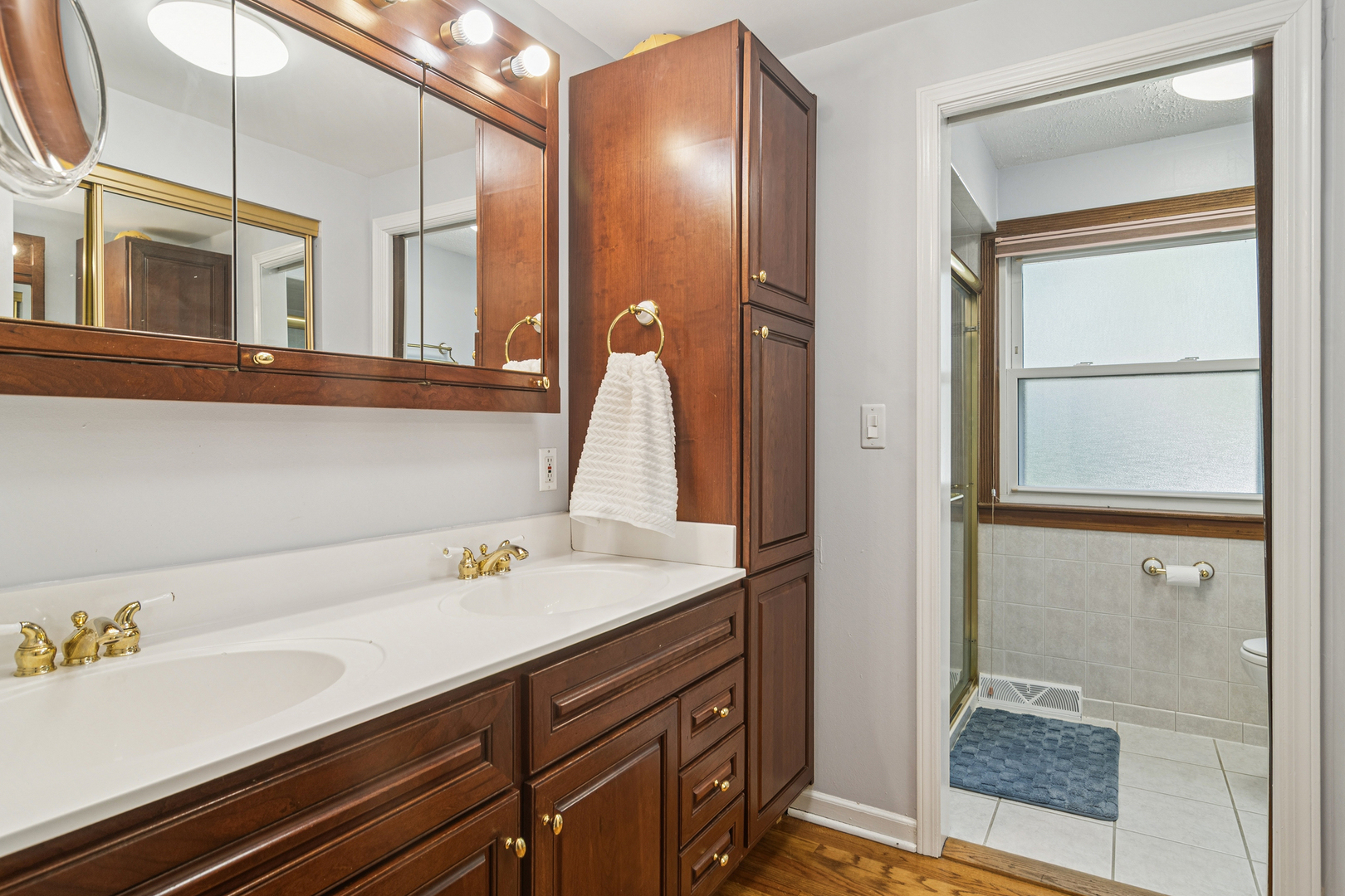 1102 E Waverly Drive, Arlington Heights, IL 60004