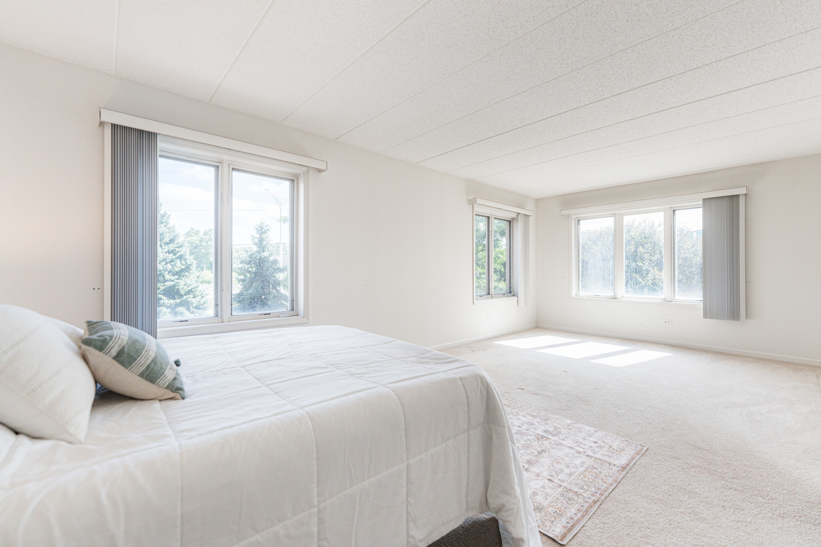 201 W Brush Hill Road #107, Elmhurst, IL 60126