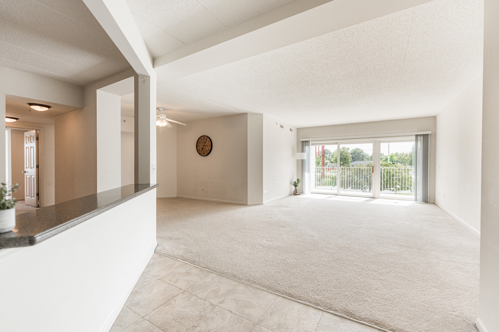 201 W Brush Hill Road #107, Elmhurst, IL 60126