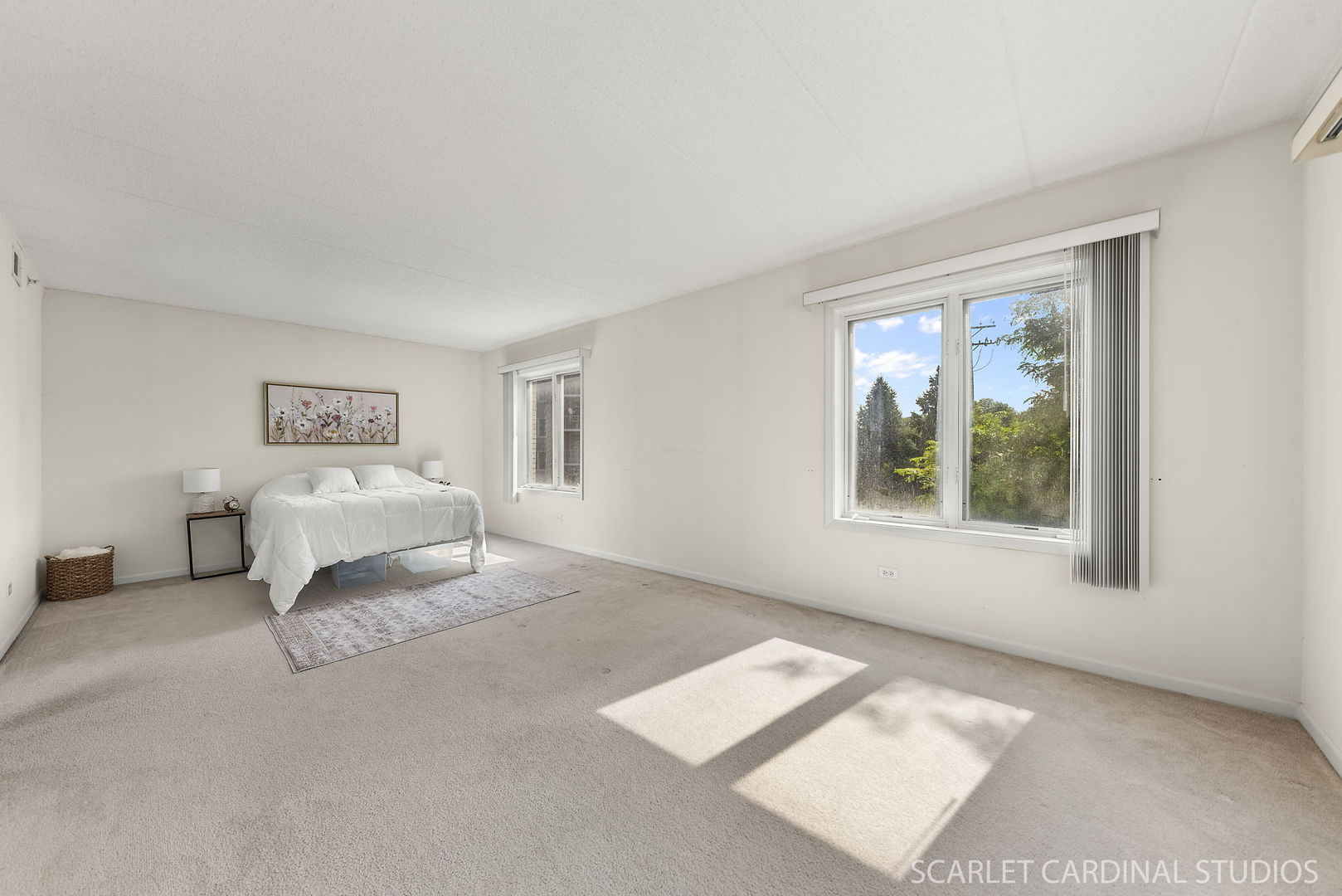 201 W Brush Hill Road #107, Elmhurst, IL 60126