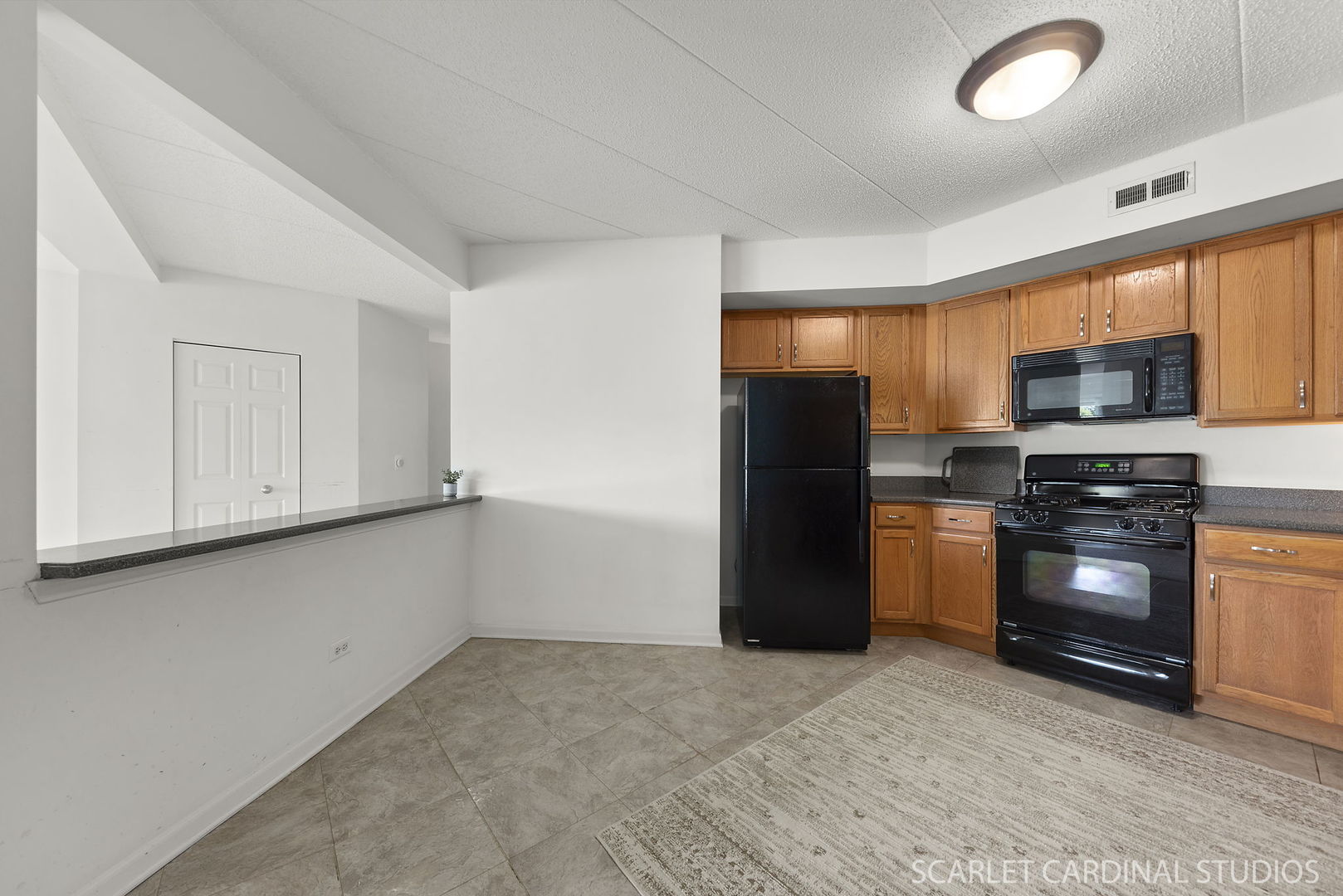 201 W Brush Hill Road #107, Elmhurst, IL 60126