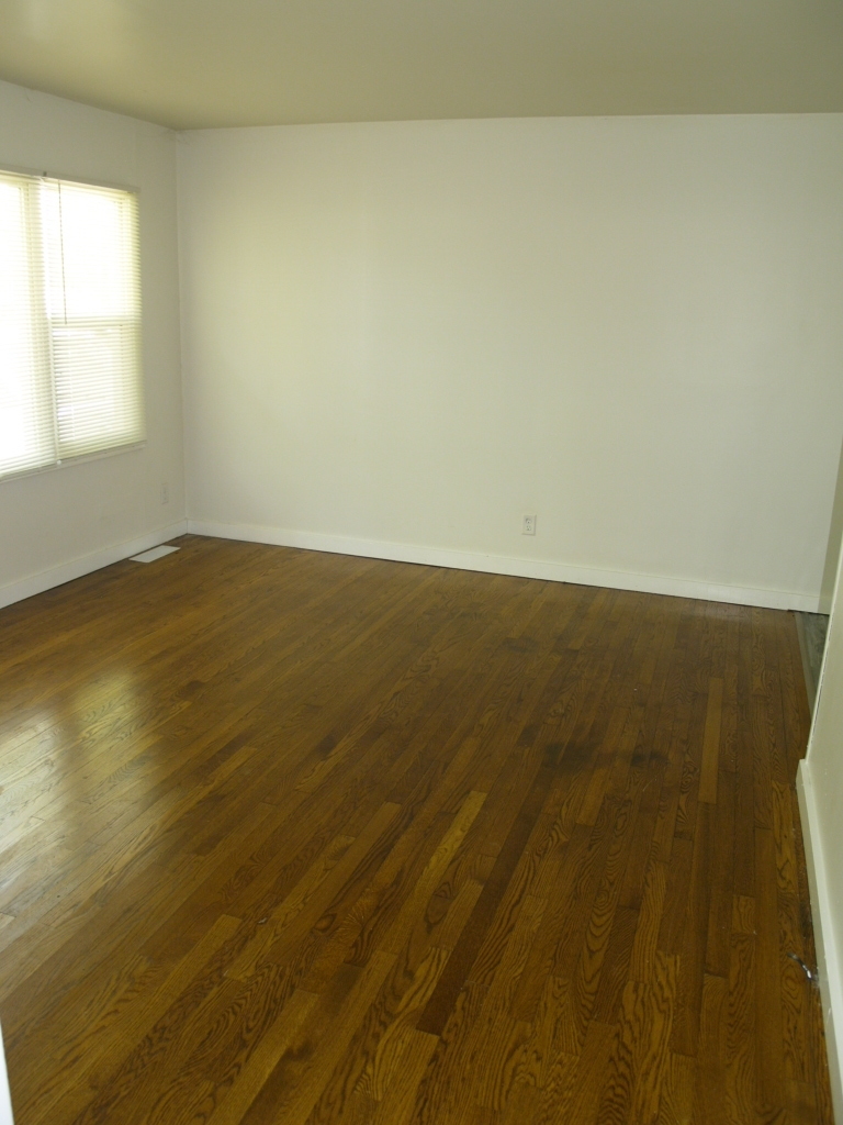 22431 STRASSBURG Avenue, Sauk Village, IL 60411