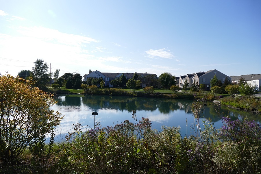 205 Springbrook Trail, Oswego, IL 60543
