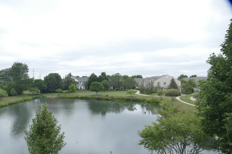 205 Springbrook Trail, Oswego, IL 60543