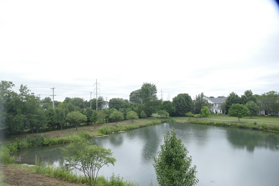 205 Springbrook Trail, Oswego, IL 60543