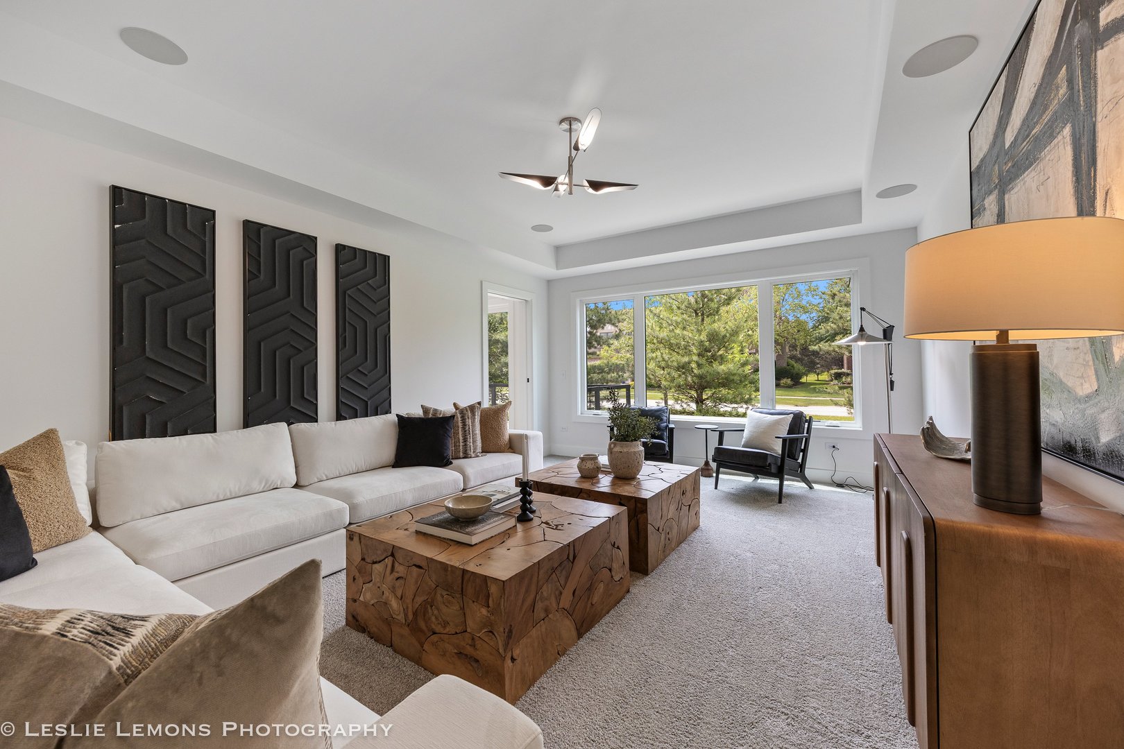 20 Pinnacle Court, Naperville, IL 60565