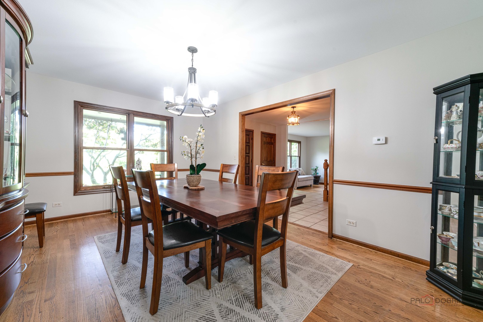 21326 N Elder Court, Kildeer, IL 60047