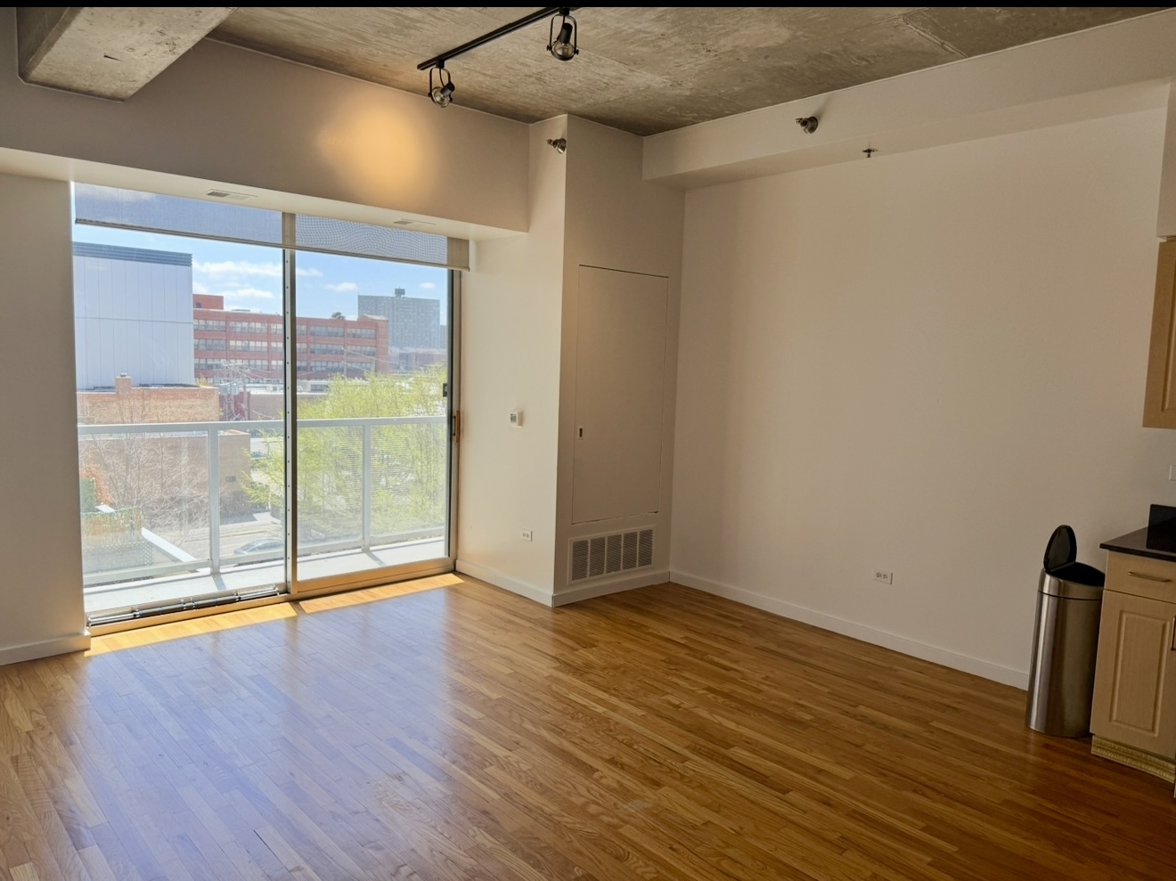 1620 S Michigan Avenue #424, Chicago, IL 60616