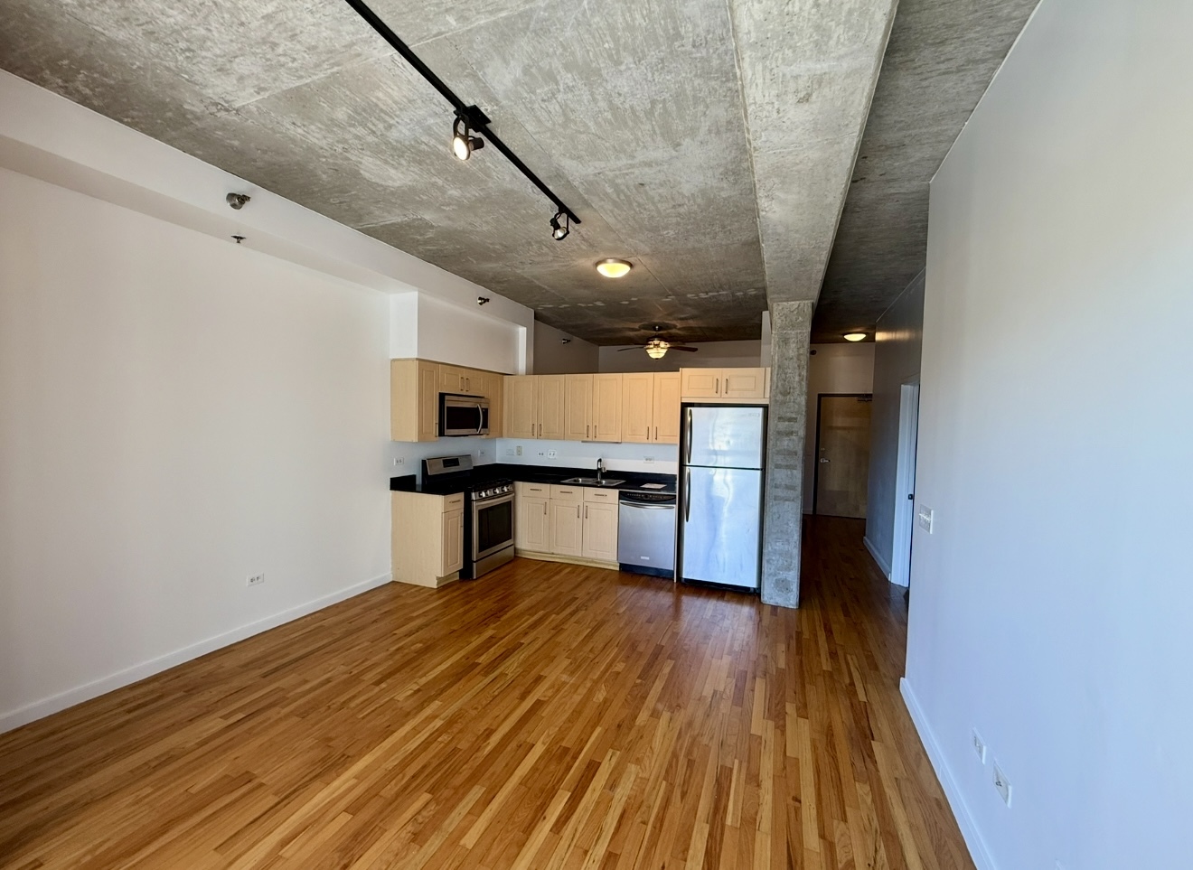1620 S Michigan Avenue #424, Chicago, IL 60616