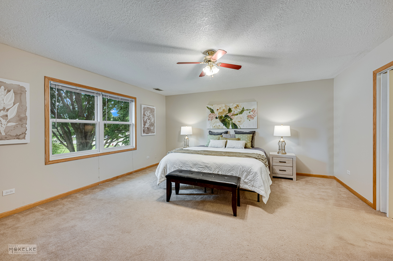 1701 Grand Prairie Drive, New Lenox, IL 60451
