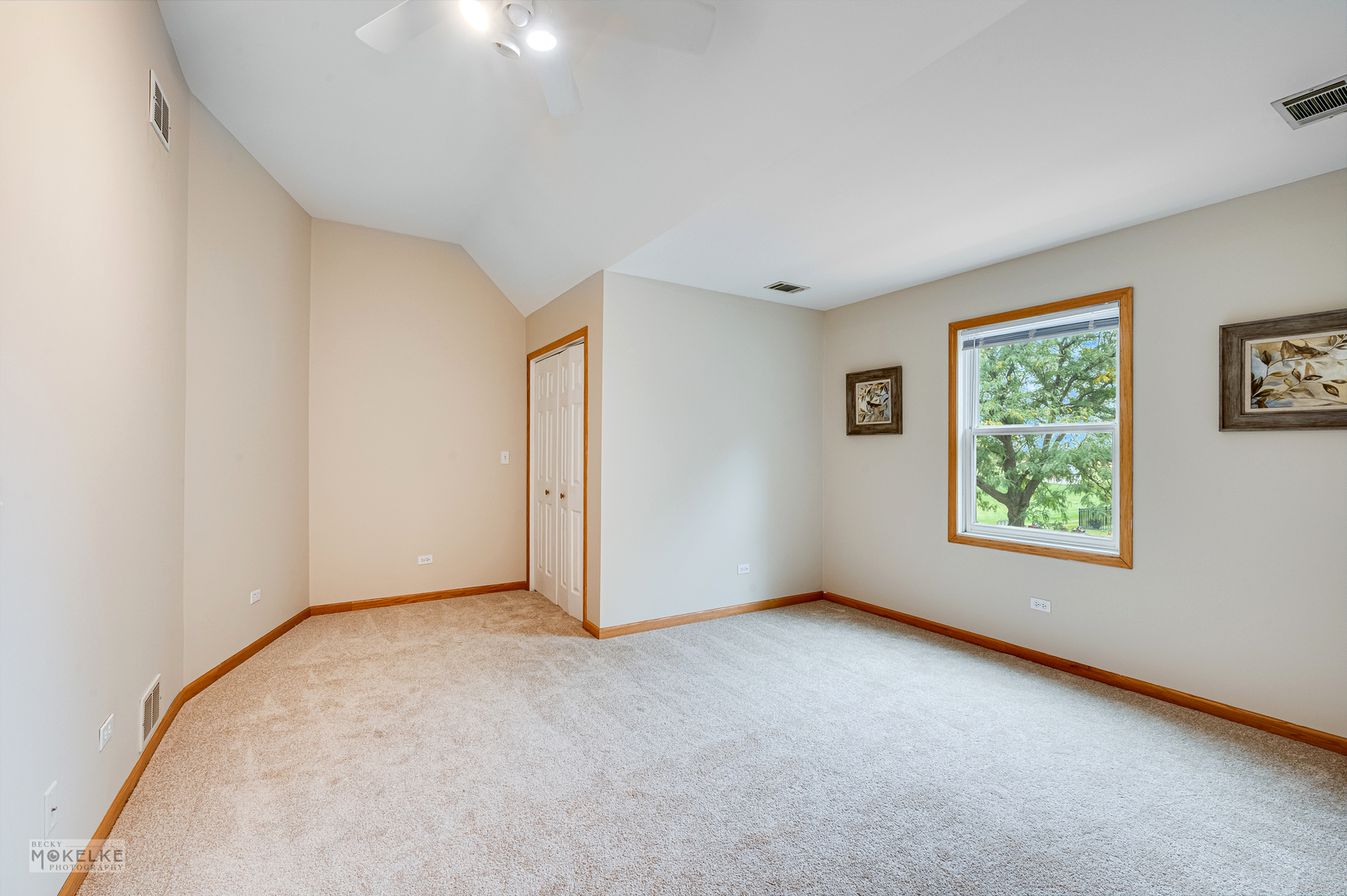 1701 Grand Prairie Drive, New Lenox, IL 60451