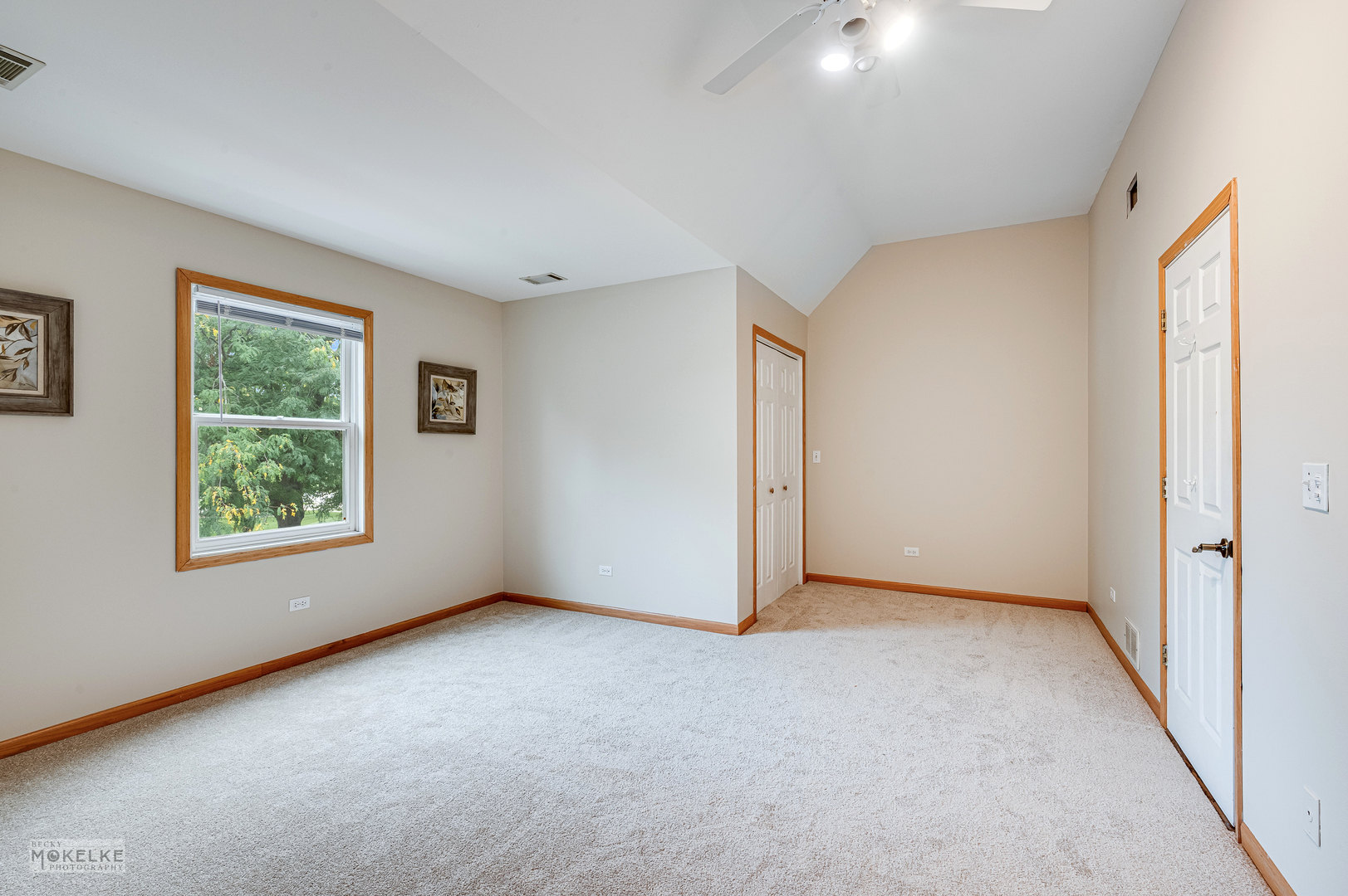 1701 Grand Prairie Drive, New Lenox, IL 60451
