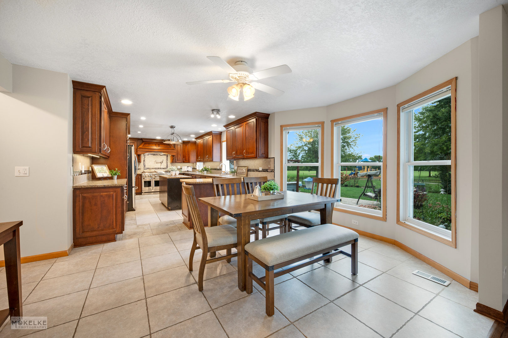 1701 Grand Prairie Drive, New Lenox, IL 60451