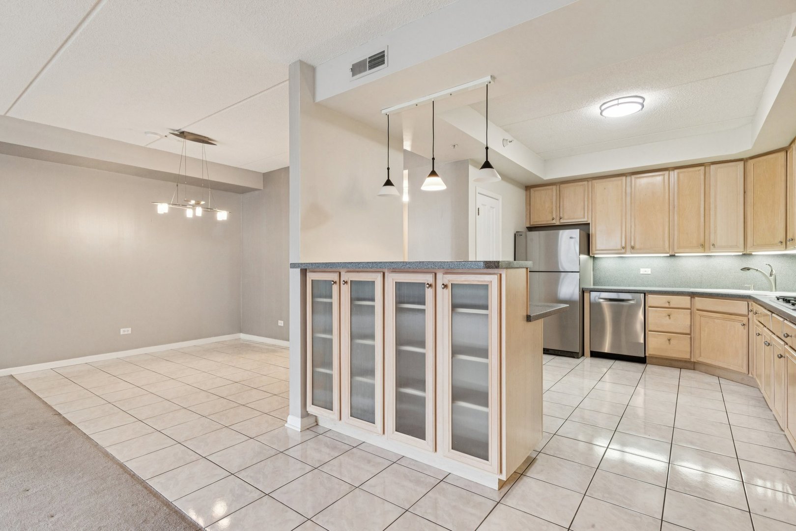 445 Village Green Court #201, Lincolnshire, IL 60069