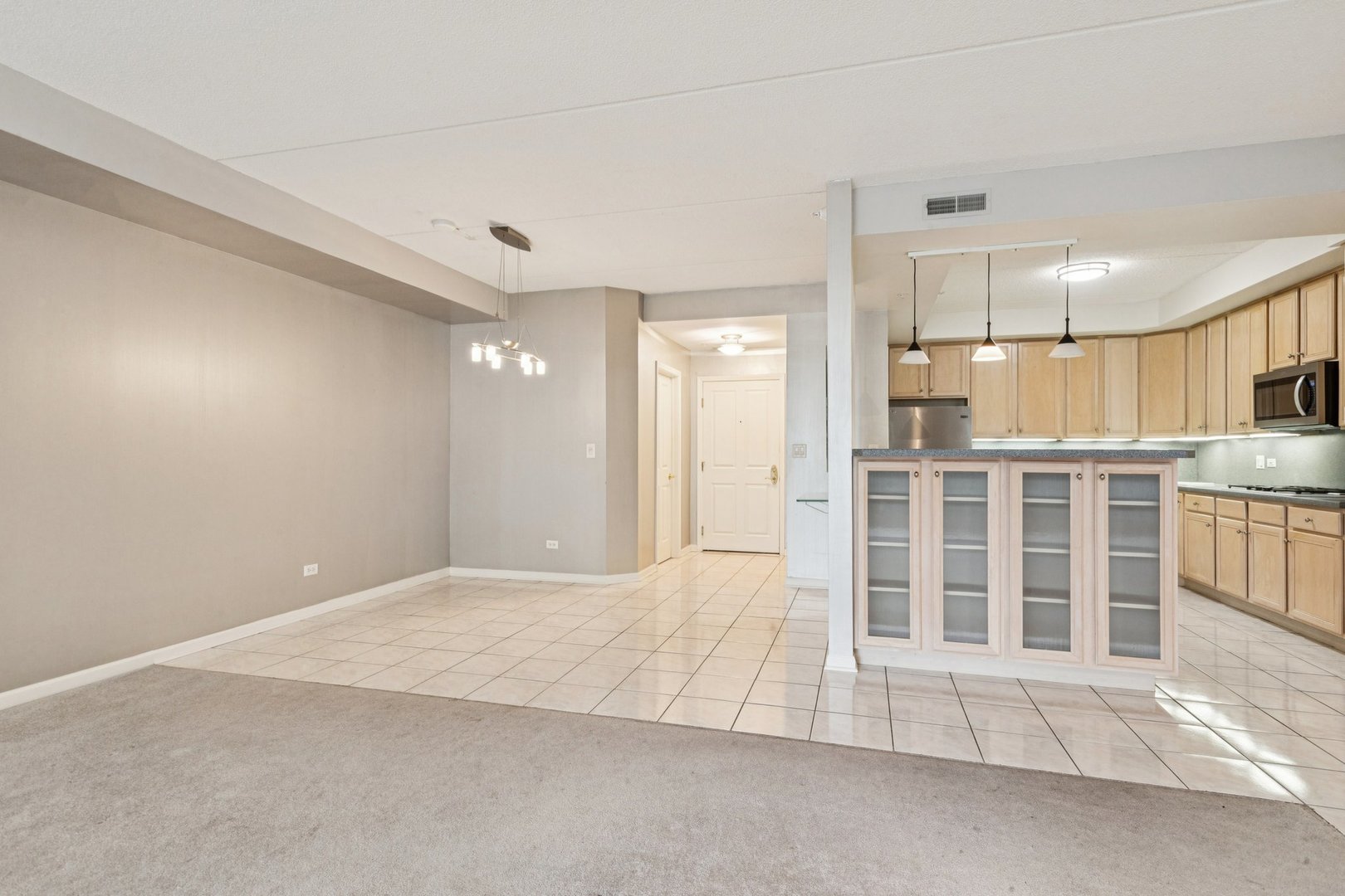 445 Village Green Court #201, Lincolnshire, IL 60069