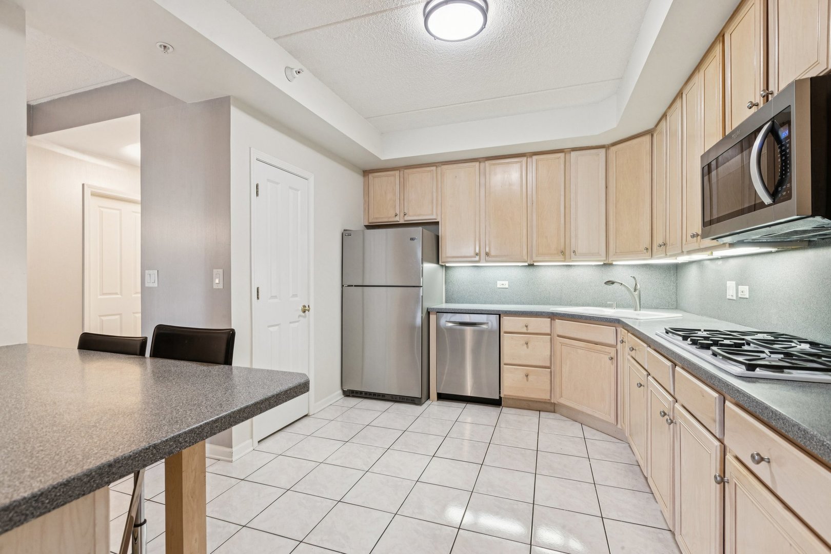 445 Village Green Court #201, Lincolnshire, IL 60069