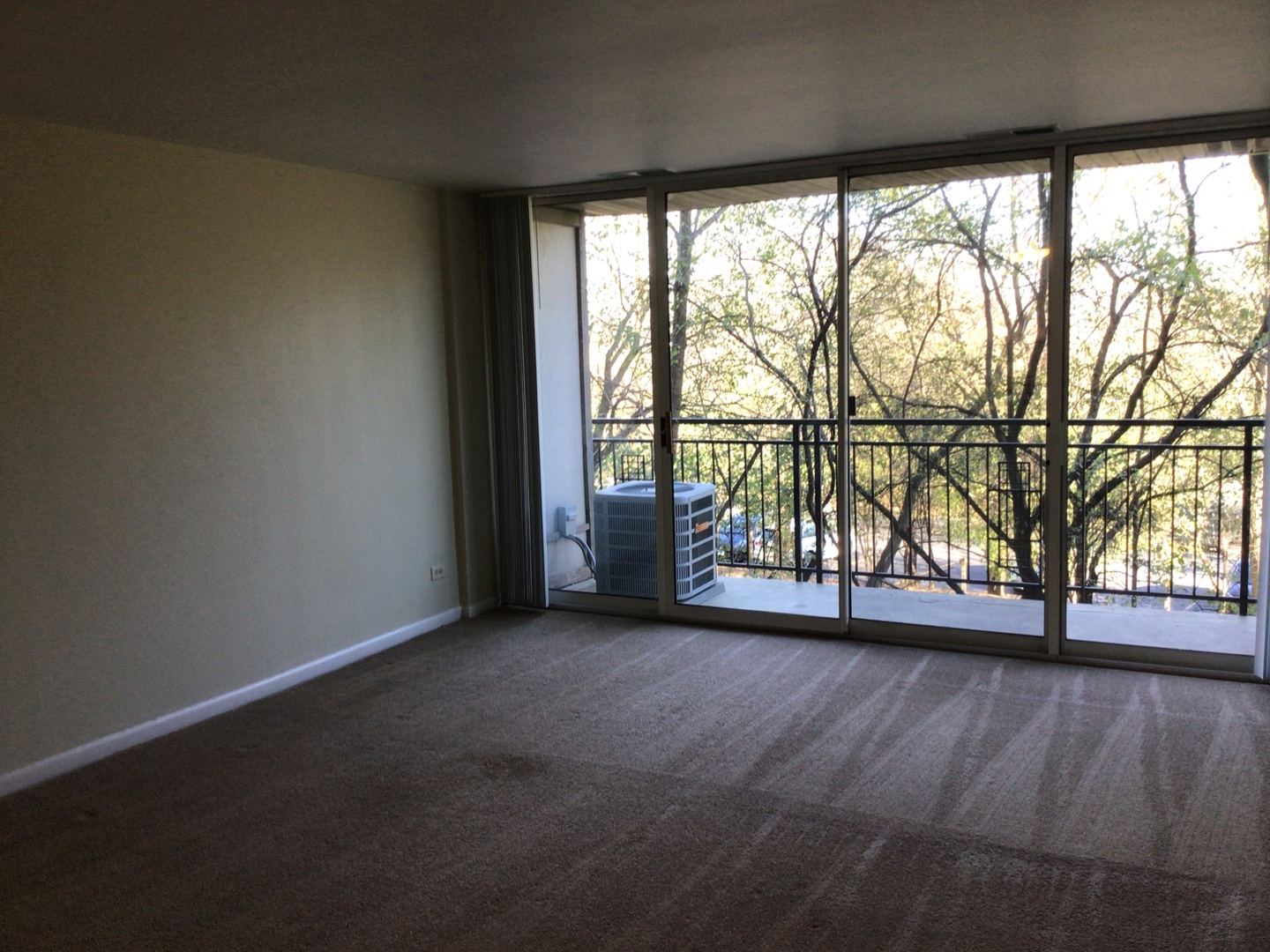 1811 Four Lakes Avenue #2C, Lisle, IL 60532