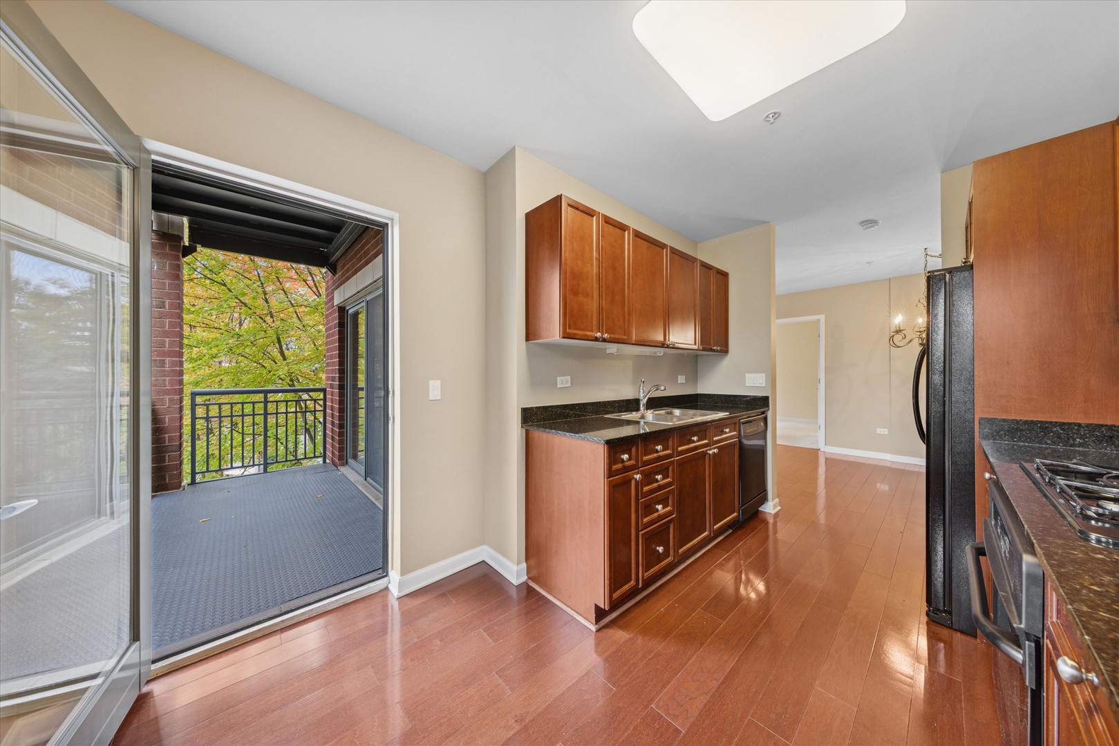 255 E Liberty Drive #309, Wheaton, IL 60187