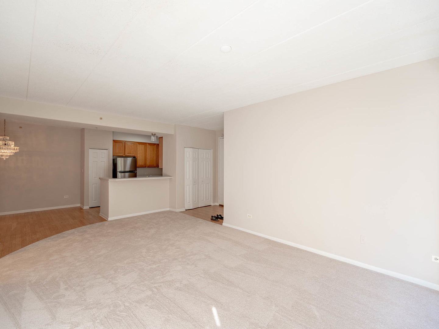 1715 Pavilion Way #205, Park Ridge, IL 60068