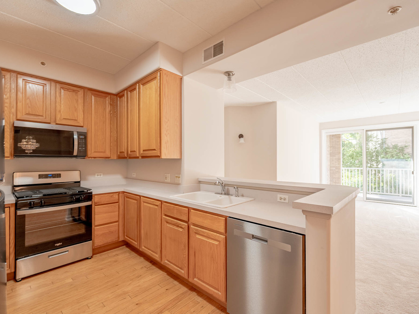 1715 Pavilion Way #205, Park Ridge, IL 60068