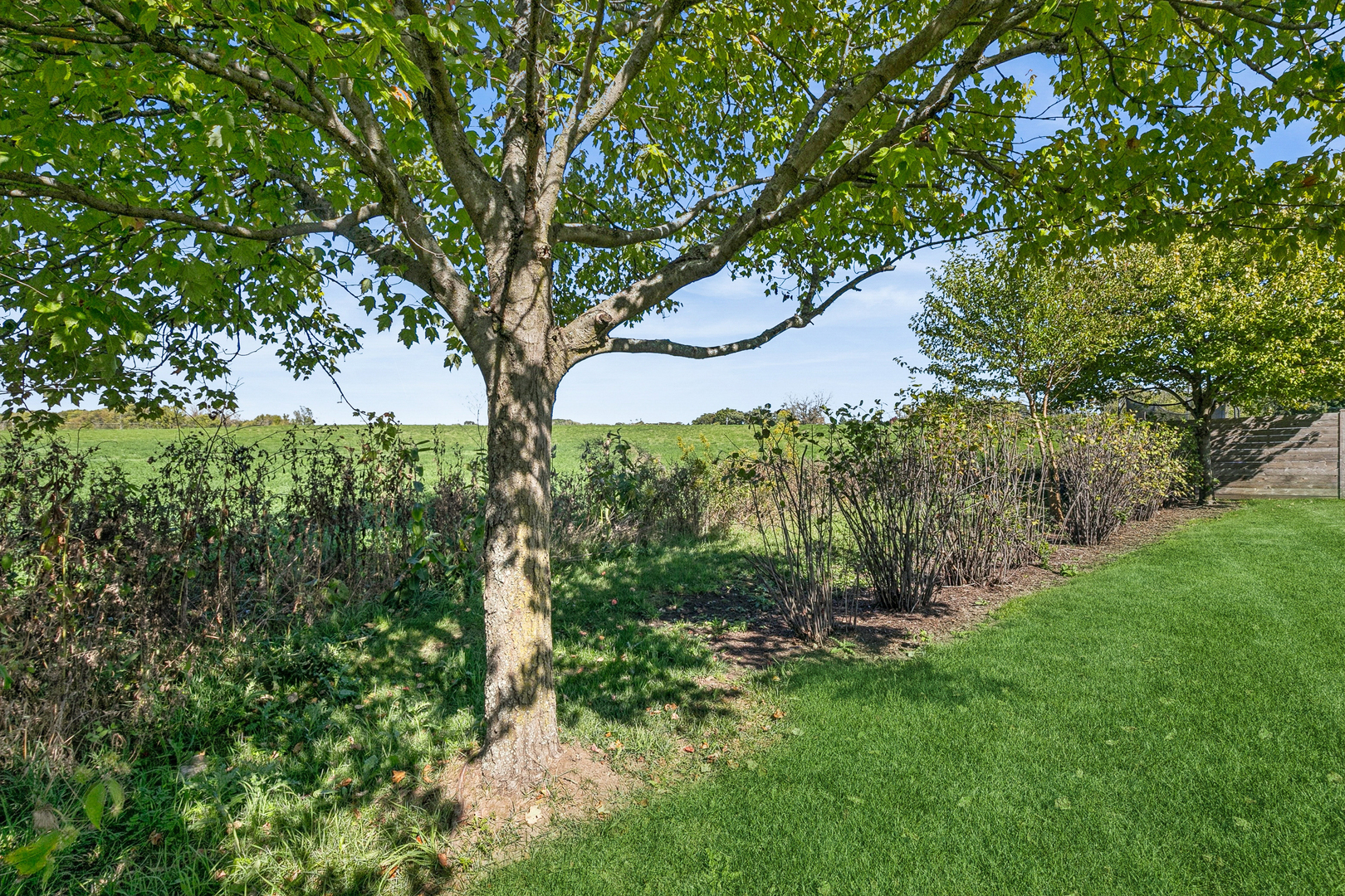 811 Tiffany Farms Road, Antioch, IL 60002