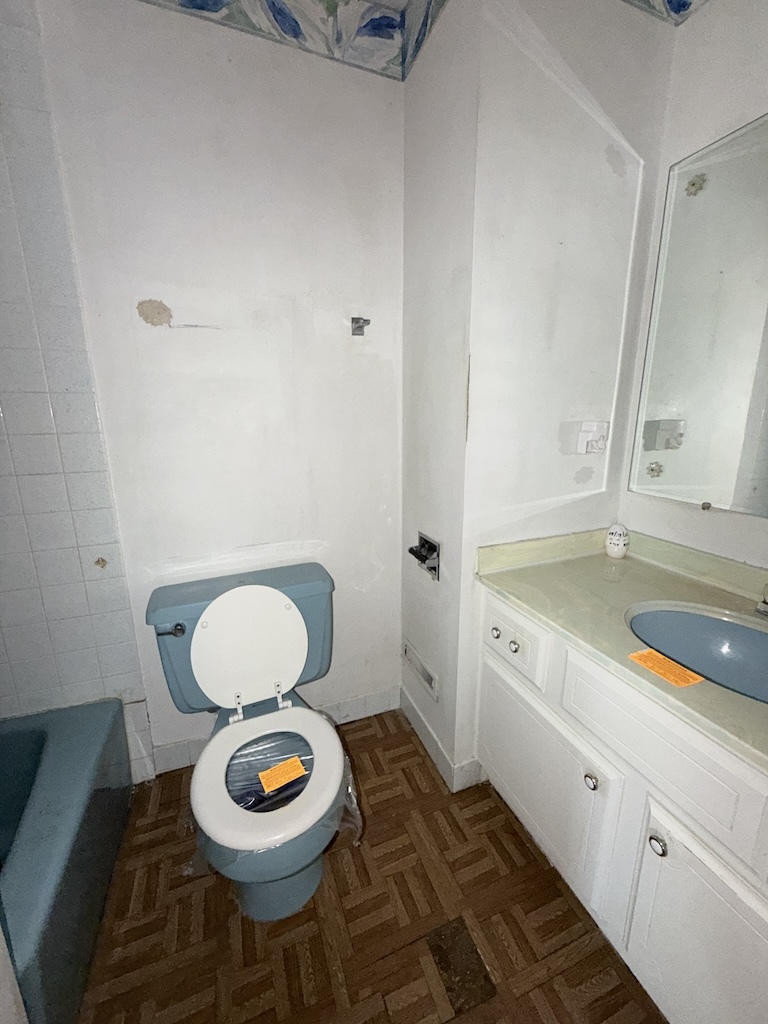 252 S Ellis Avenue, Glenwood, IL 60425